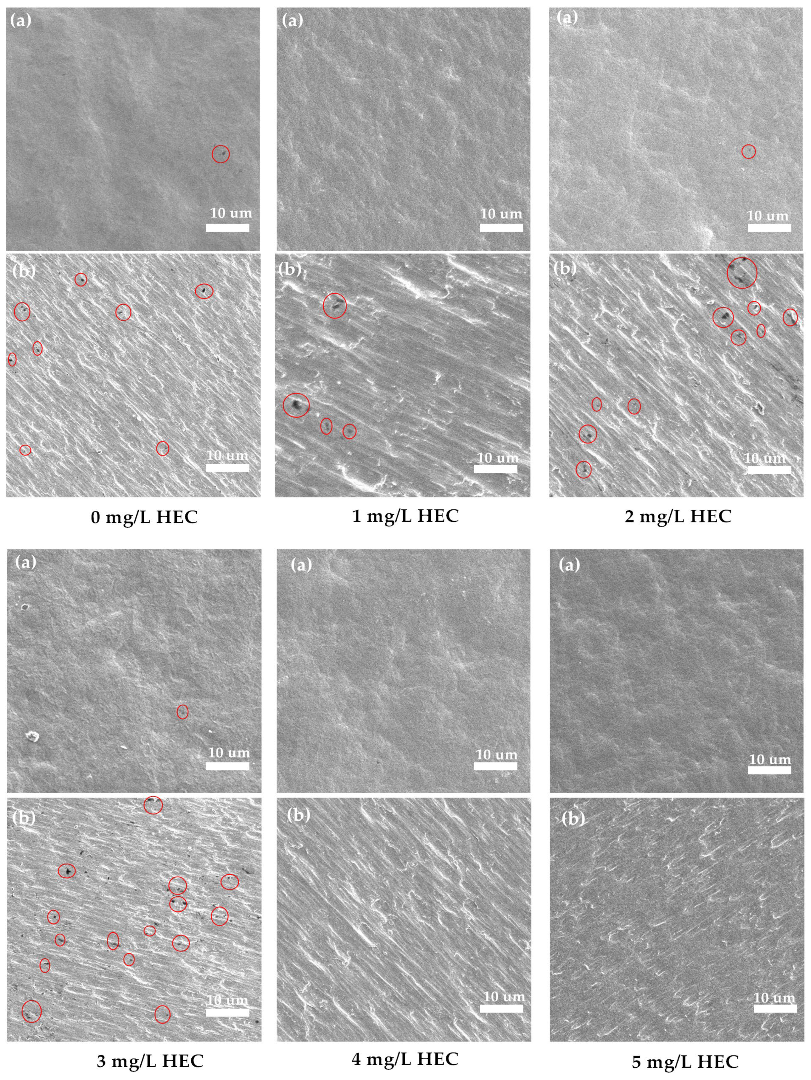 Molecules 30 00229 g005