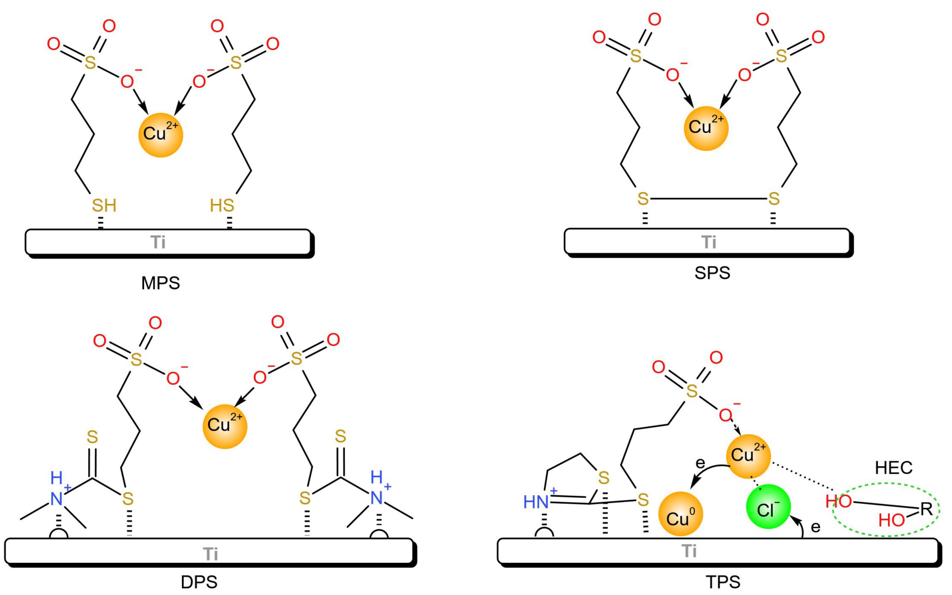 Molecules 30 00229 g007