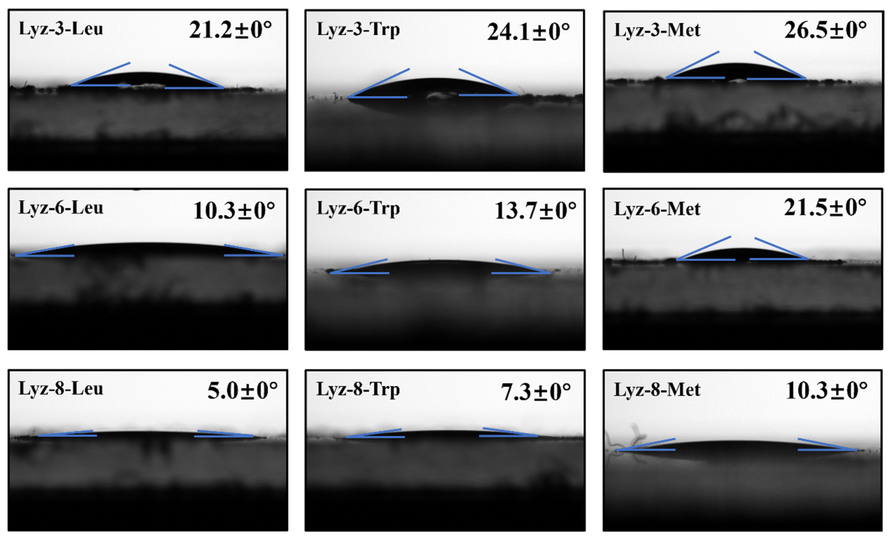 Molecules 30 00232 g006