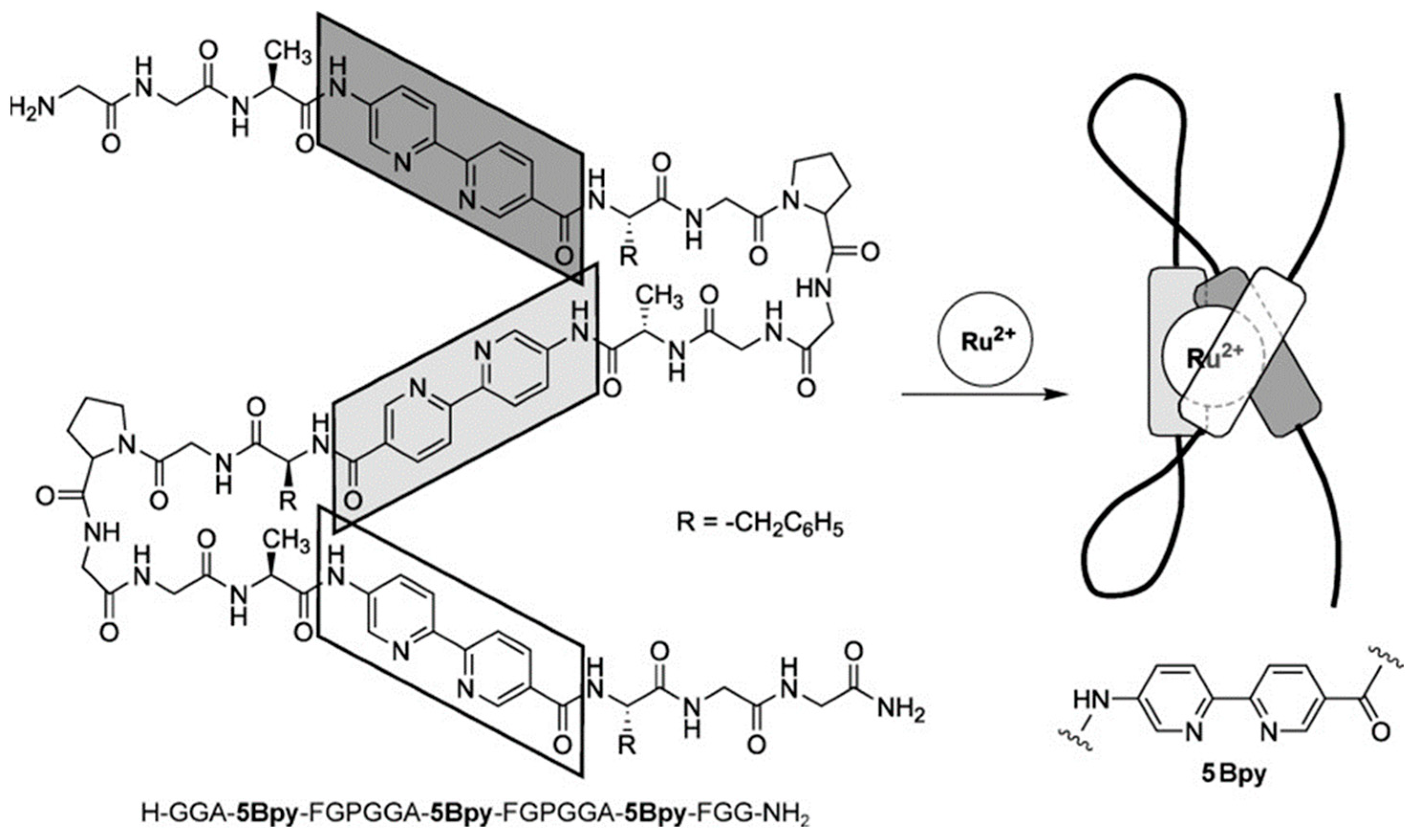 Molecules 30 00242 g004