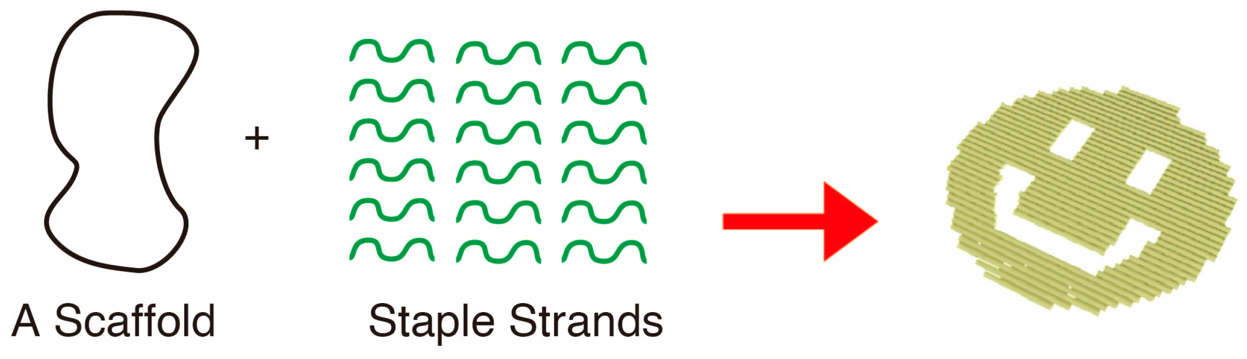 Molecules 30 00242 g006
