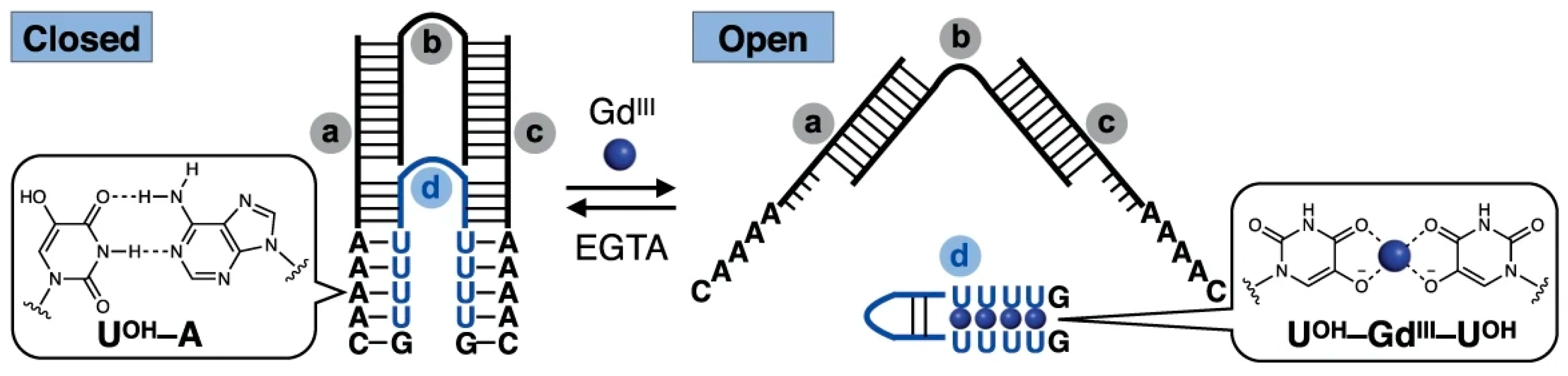 Molecules 30 00242 g010
