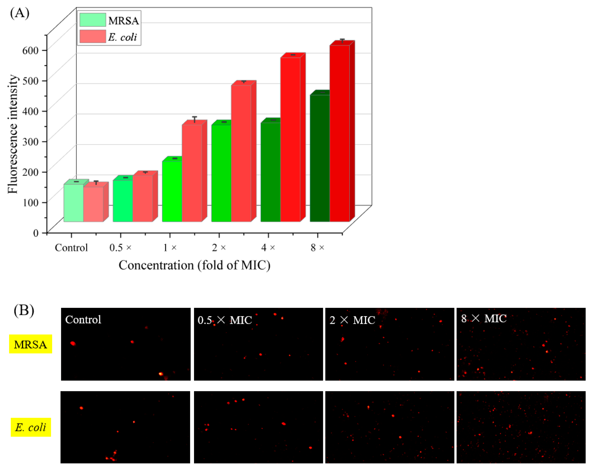 Molecules 30 00243 g008