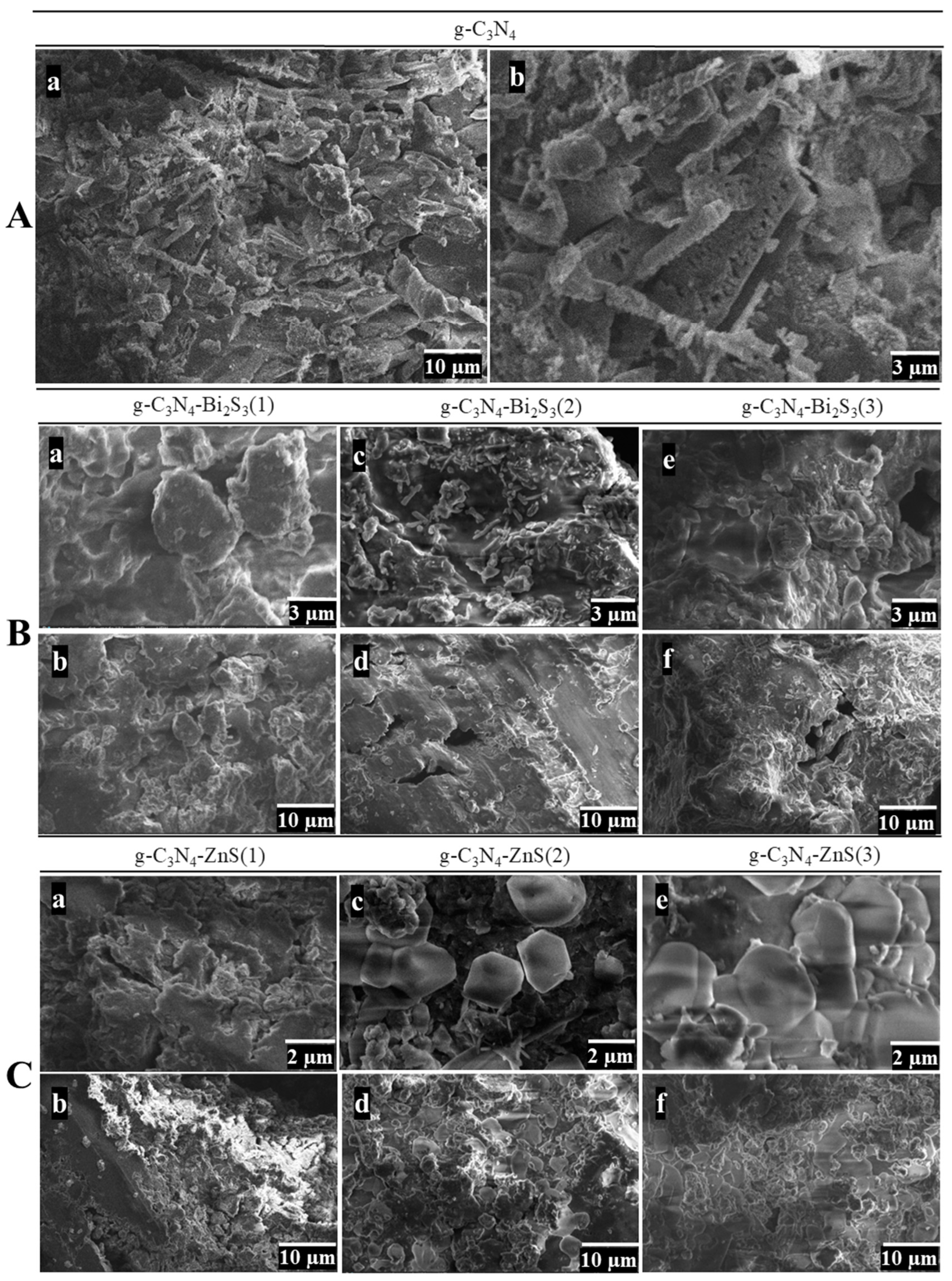 Molecules 30 00253 g003 Molecules 30 00253 g003