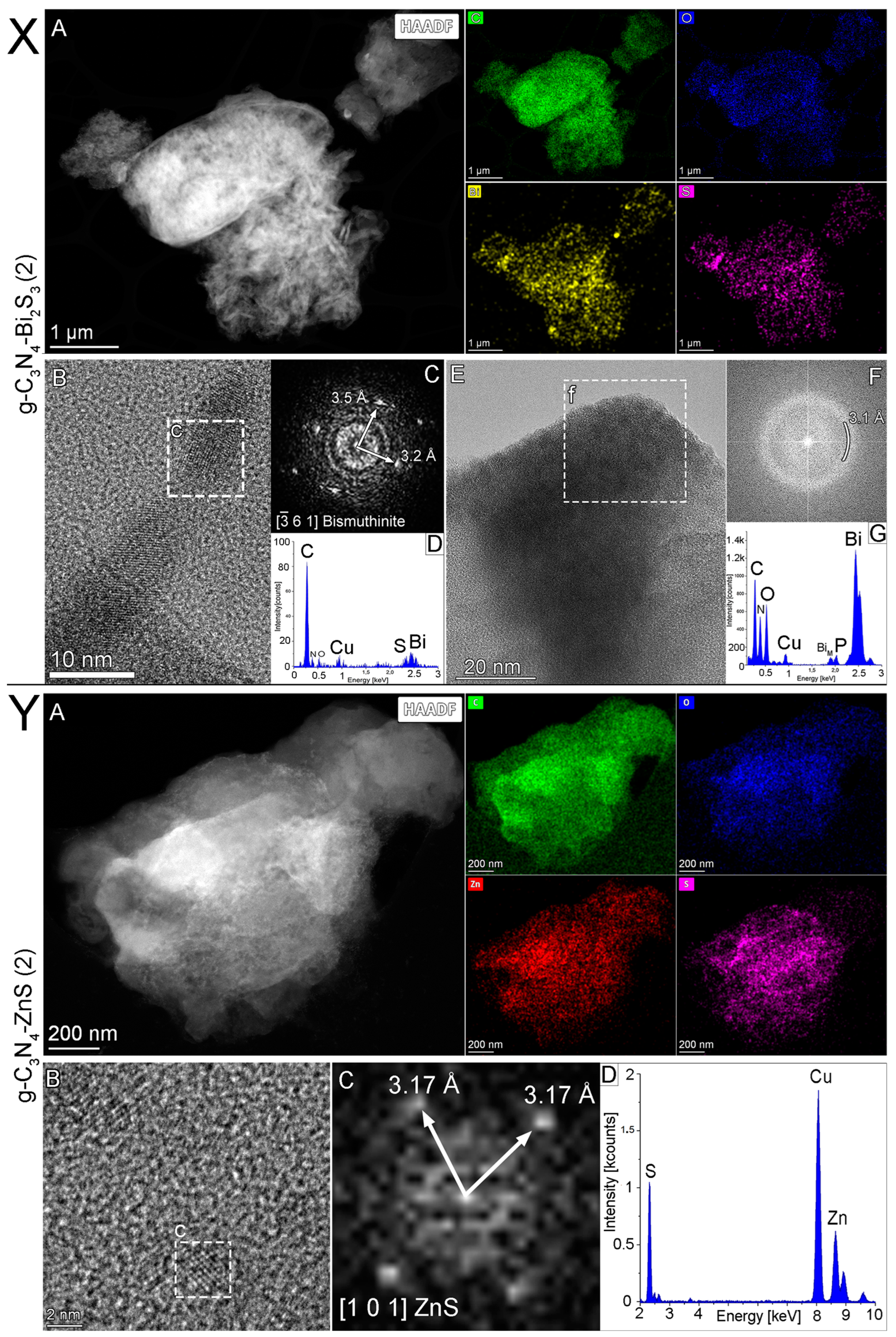 Molecules 30 00253 g004 Molecules 30 00253 g004