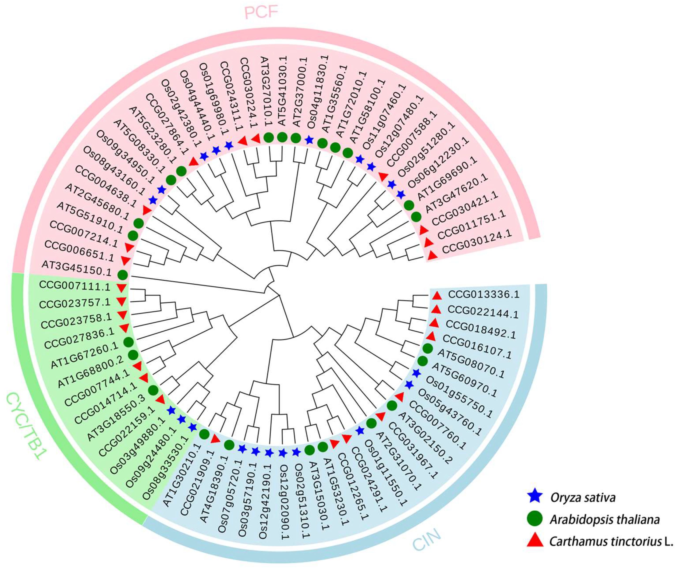 Molecules 30 00254 g001