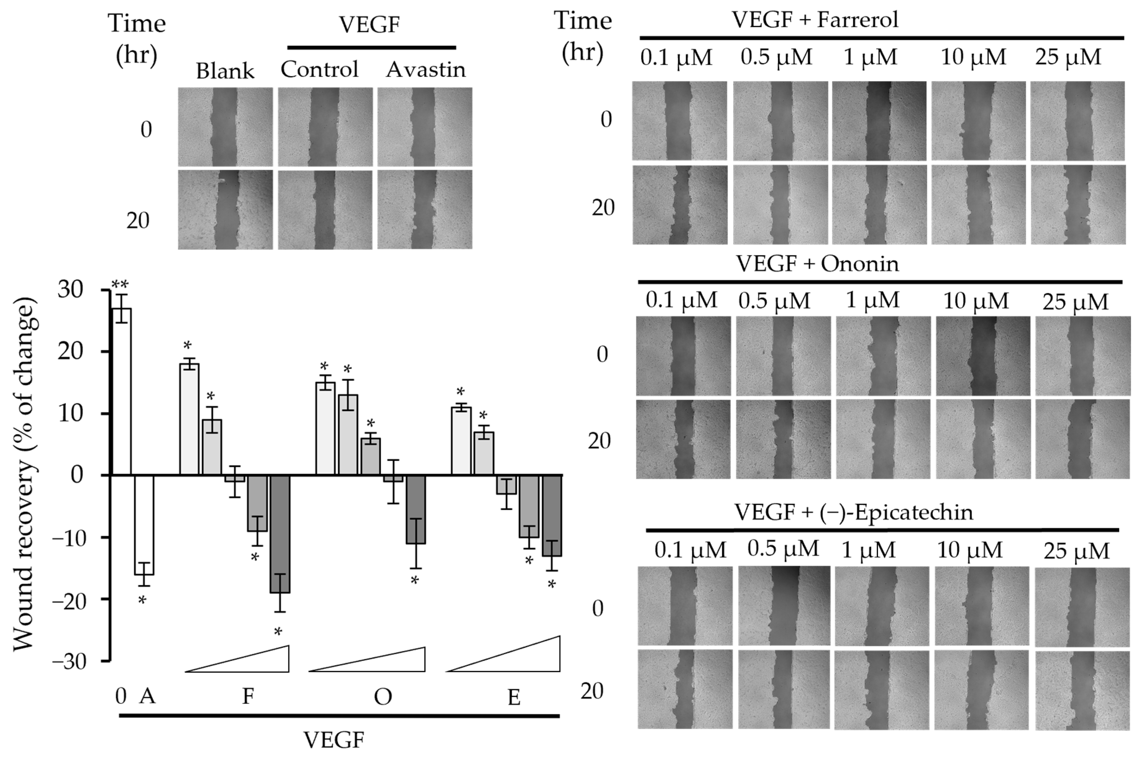 Molecules 30 00257 g003
