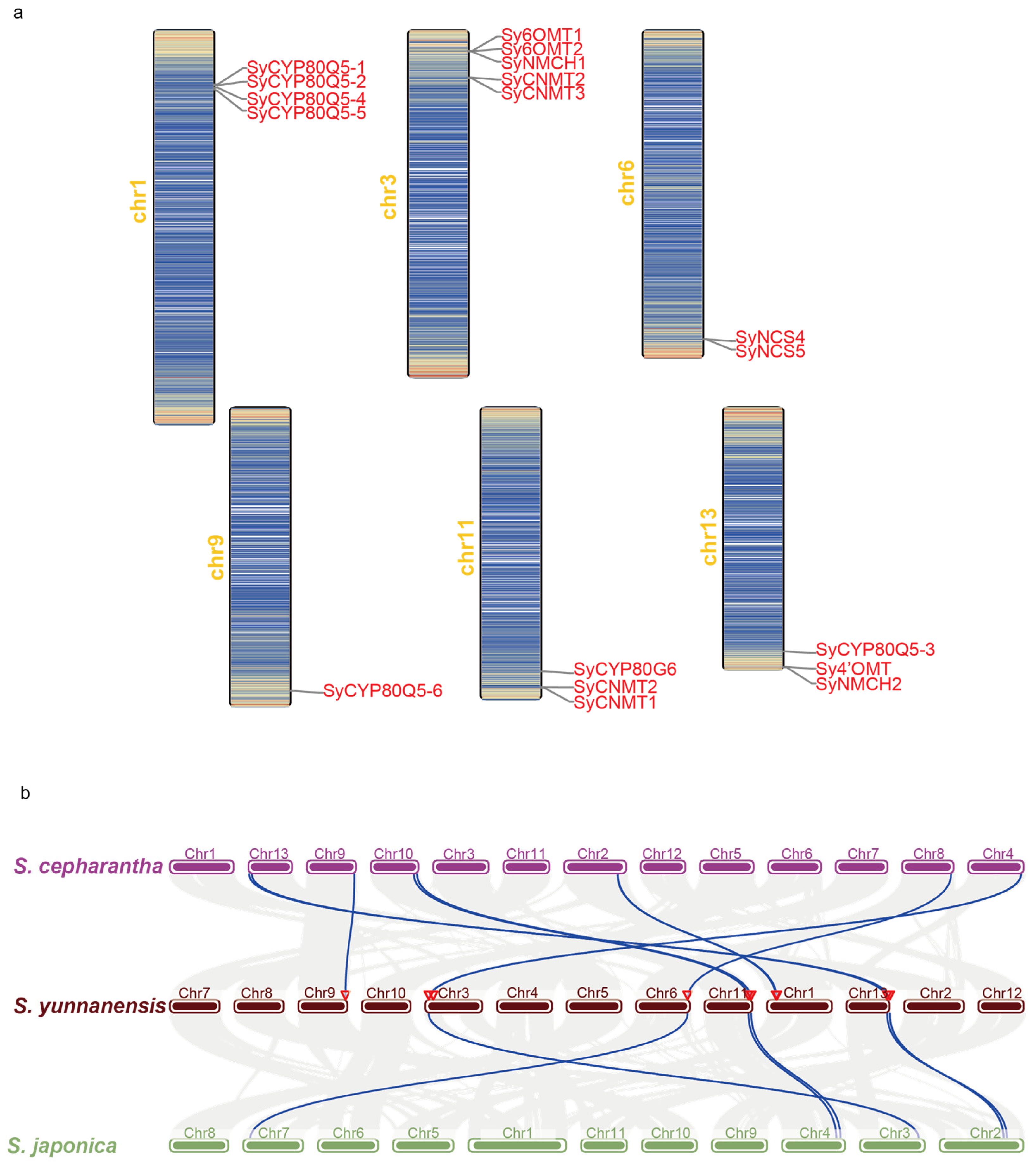 Molecules 30 00259 g004