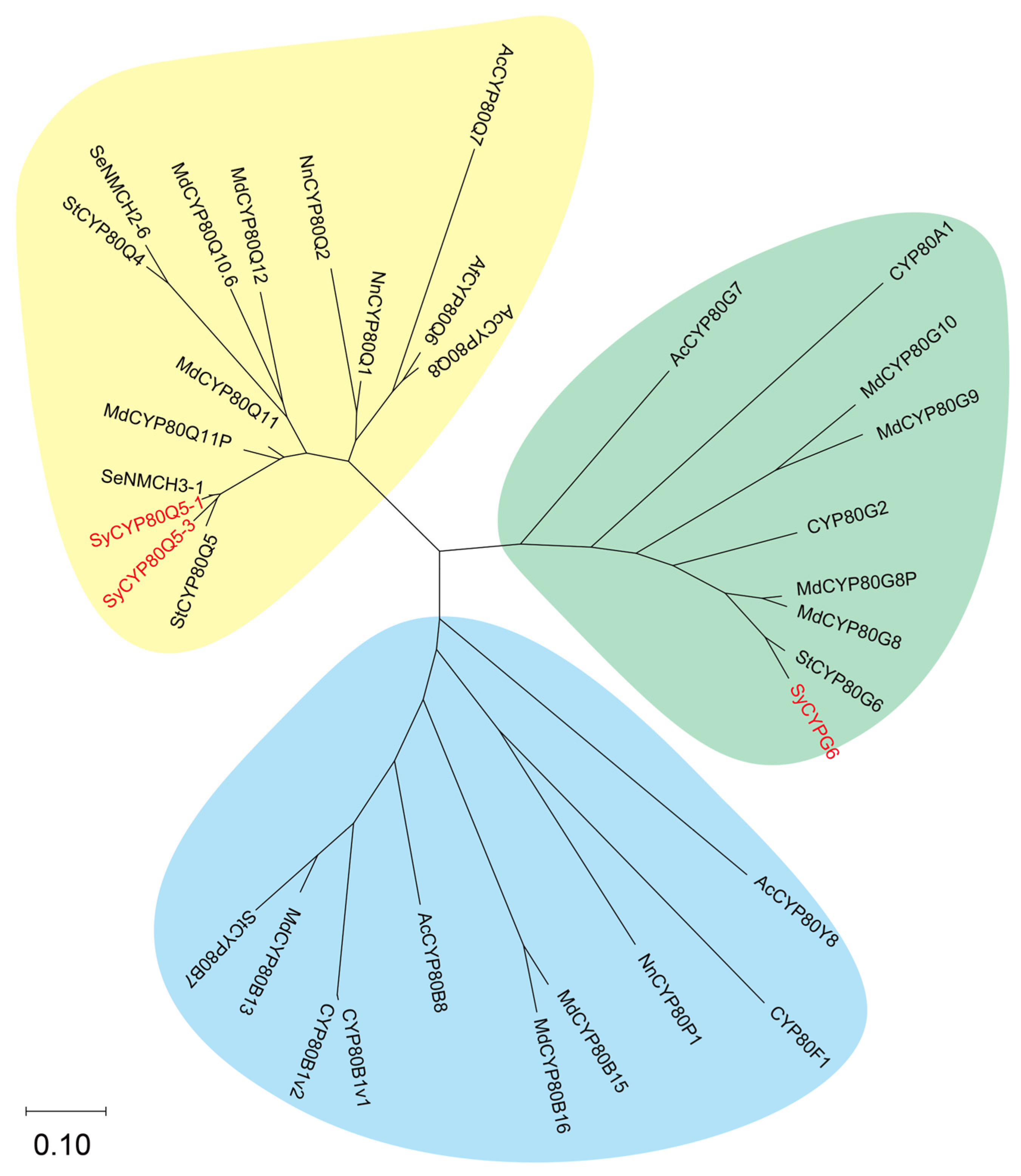 Molecules 30 00259 g006