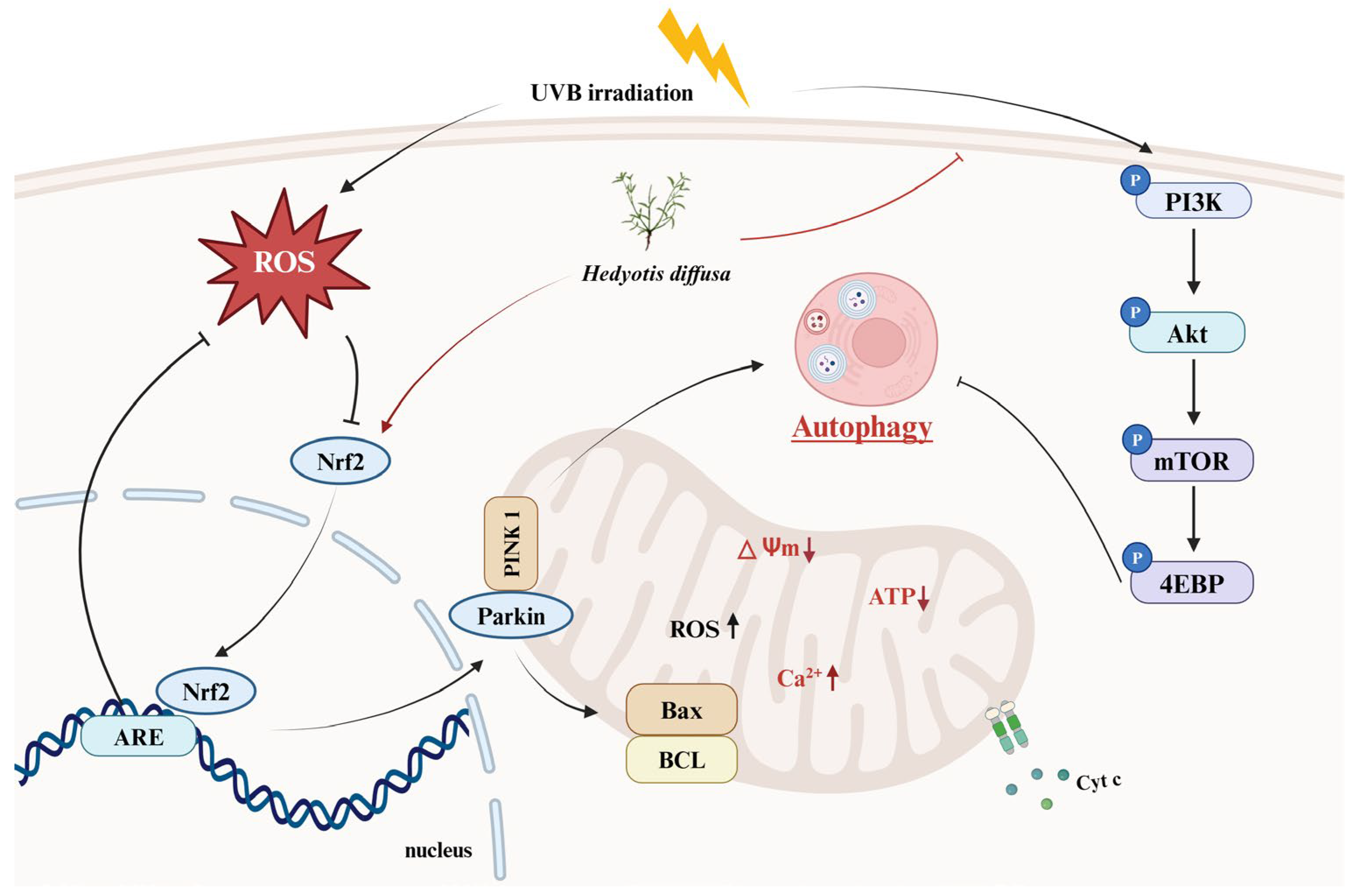 Molecules 30 00261 g011