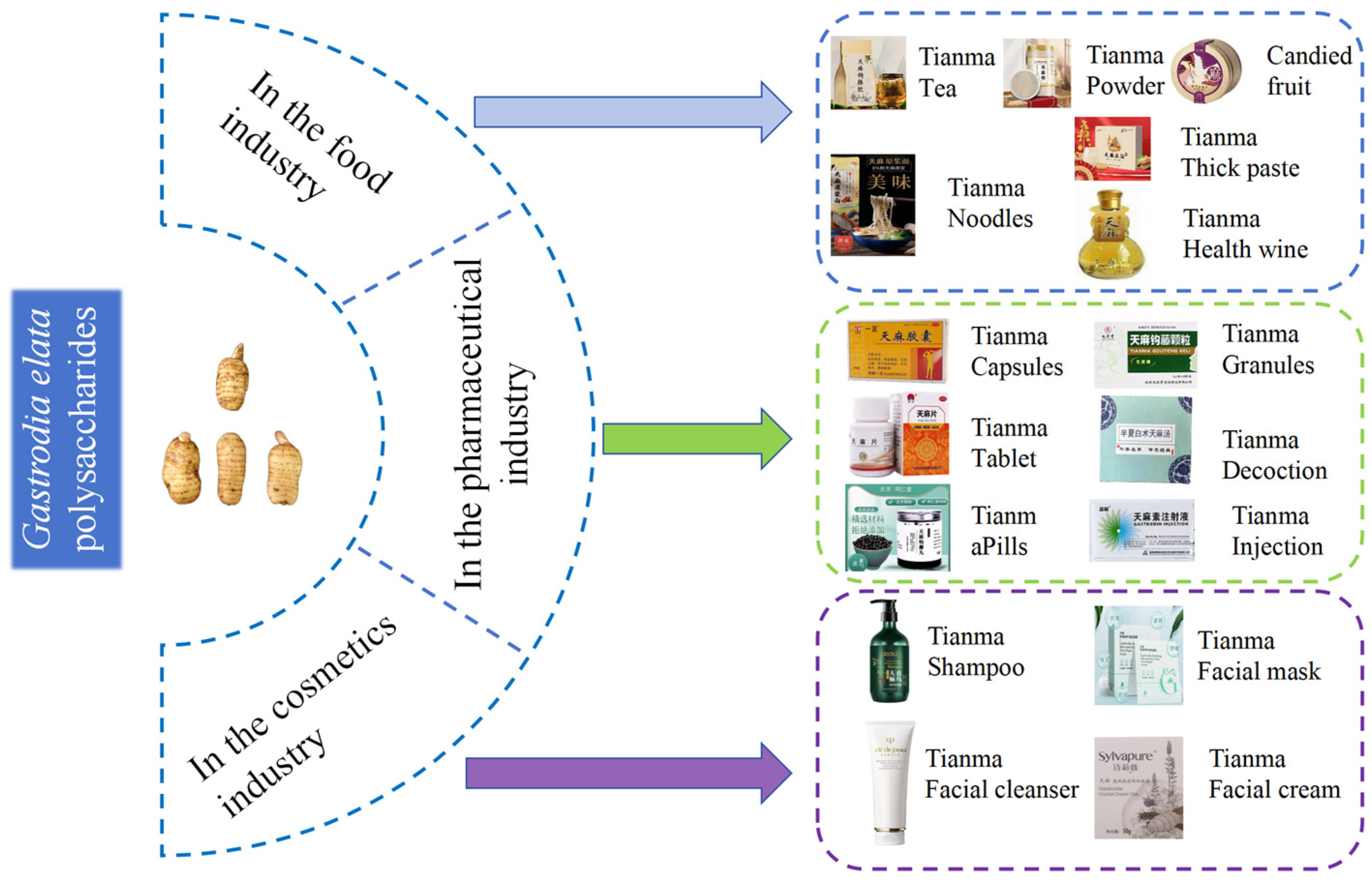 Molecules 30 00262 g005