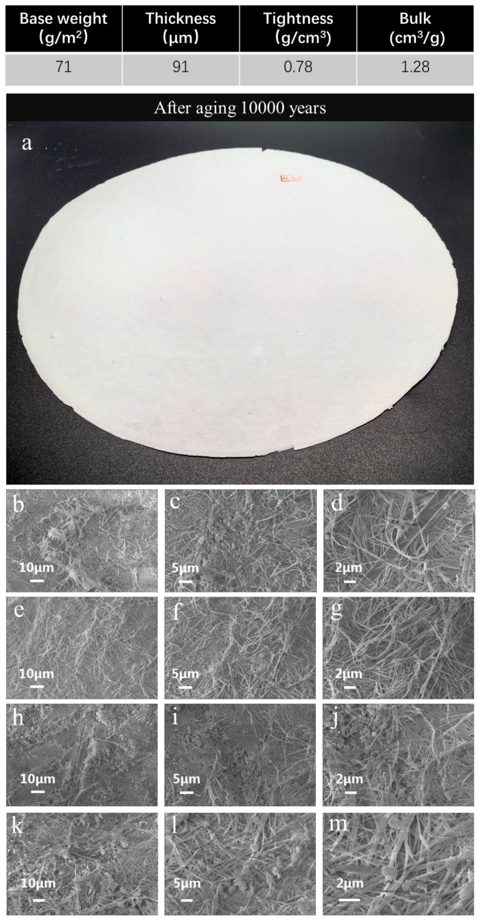 Molecules 30 00263 g002