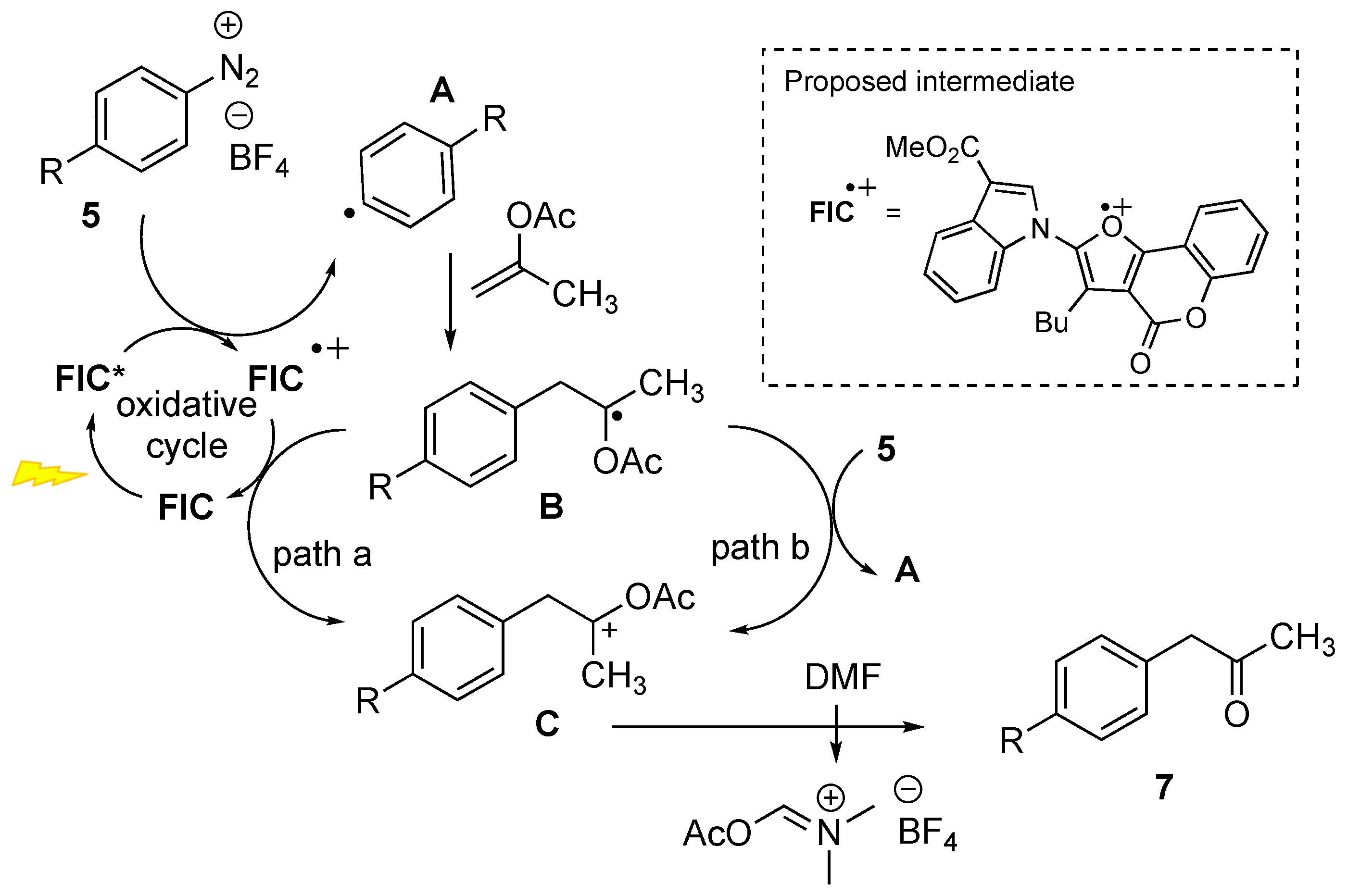 Molecules 30 00265 sch006