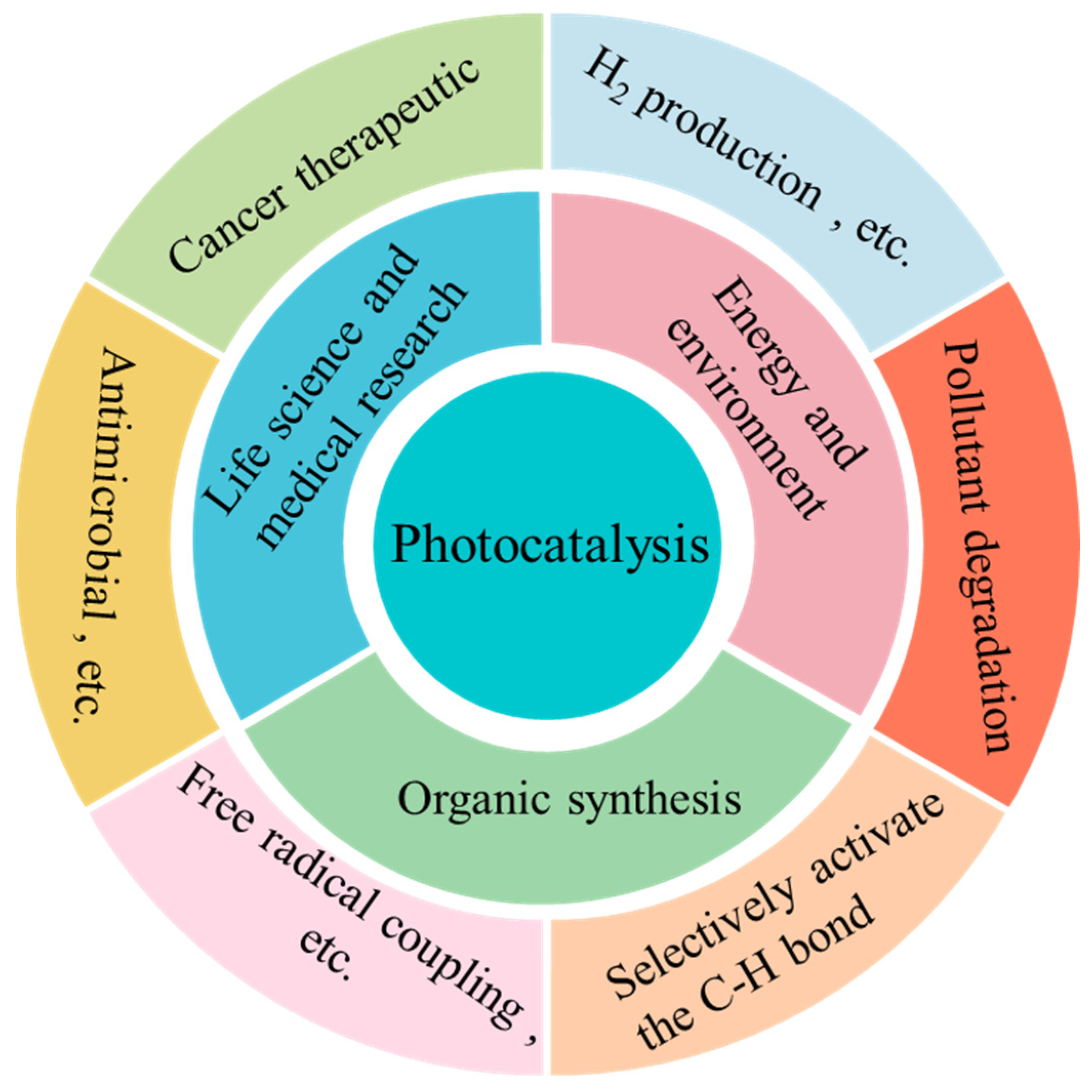 Molecules 30 00269 g002