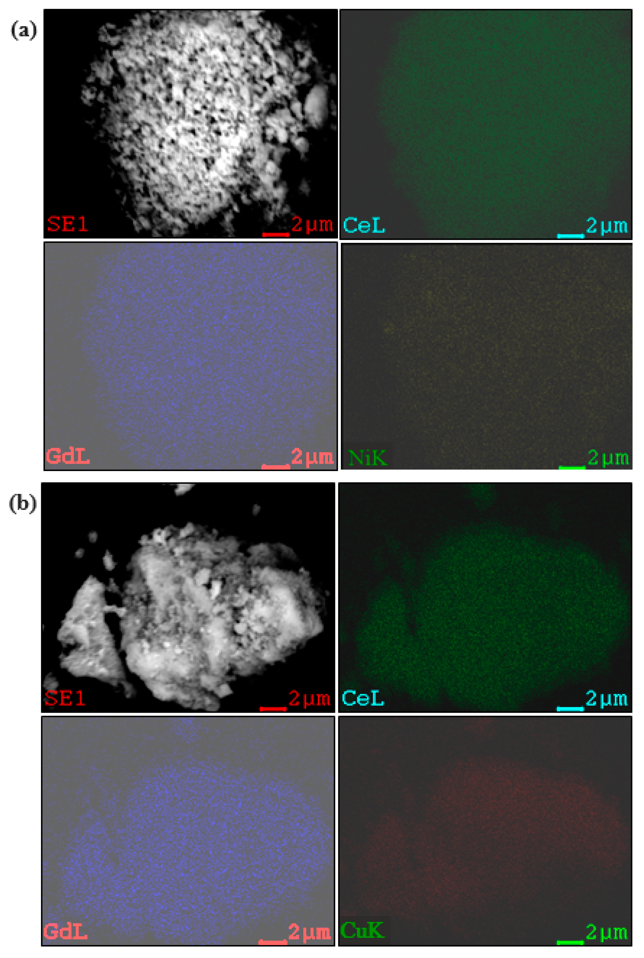 Molecules 30 00271 g003