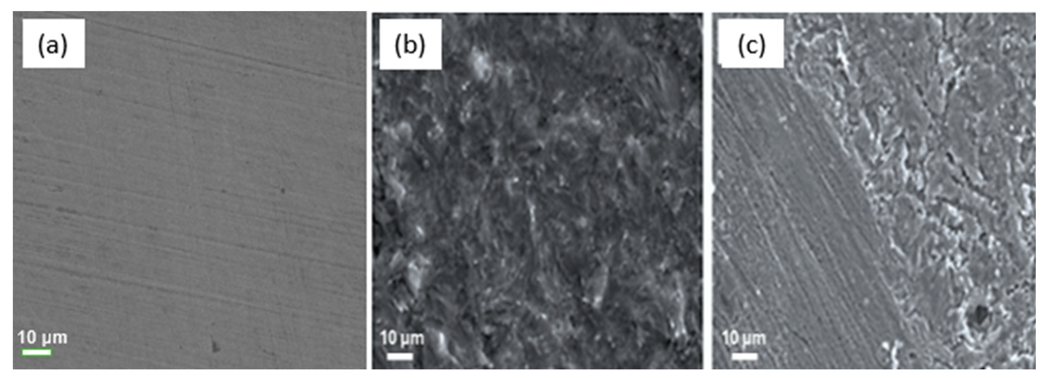 Molecules 30 00272 g006 Molecules 30 00272 g006