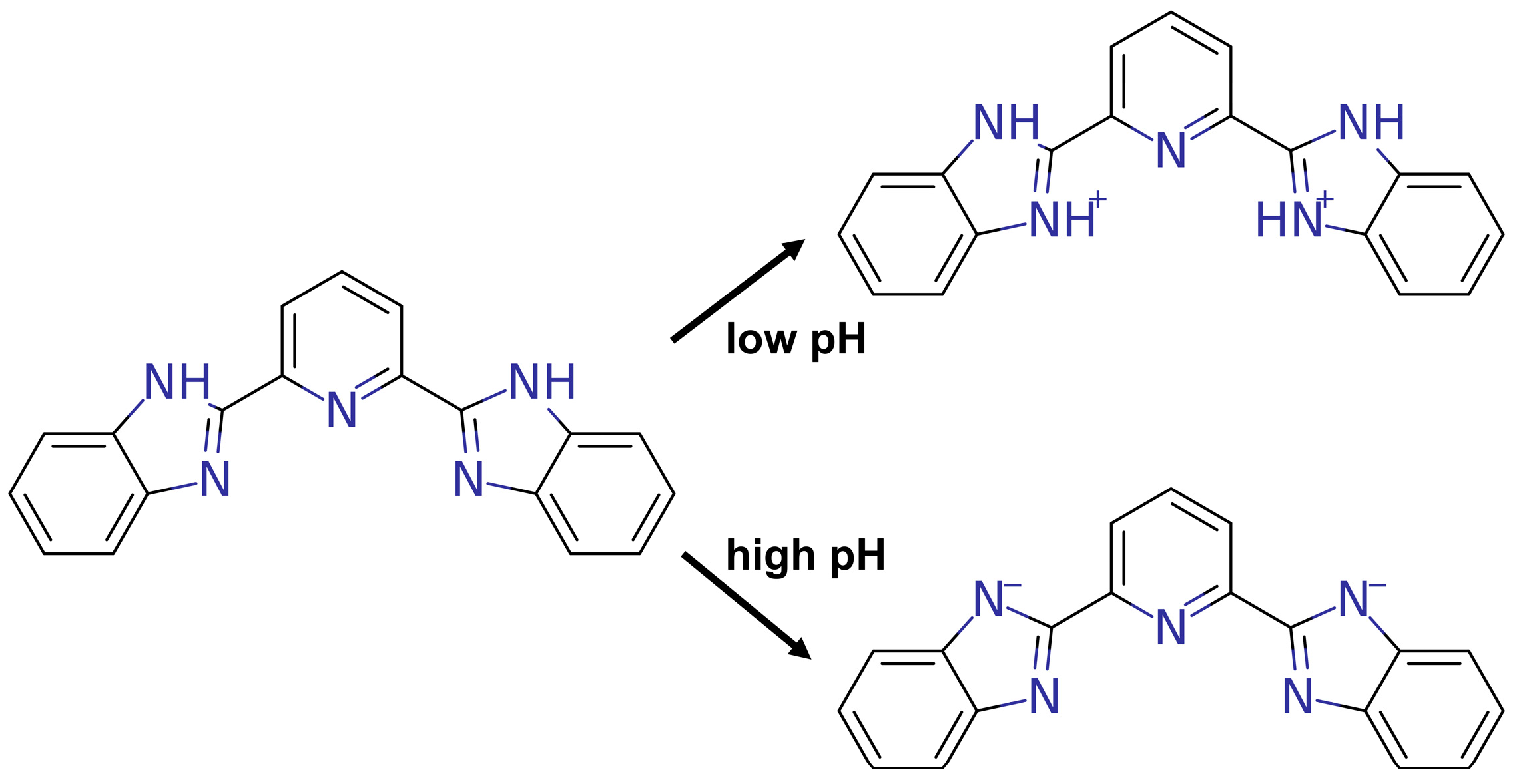 Molecules 30 00273 g001