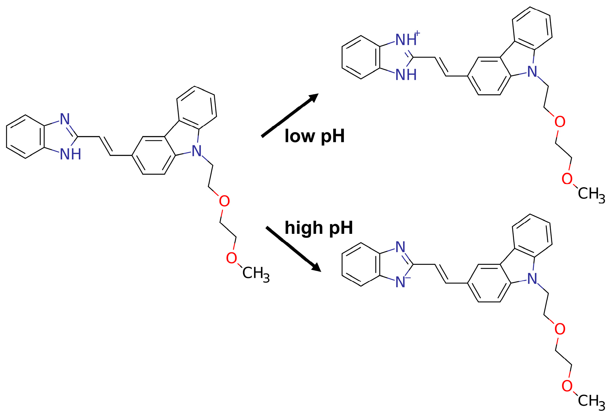 Molecules 30 00273 g006