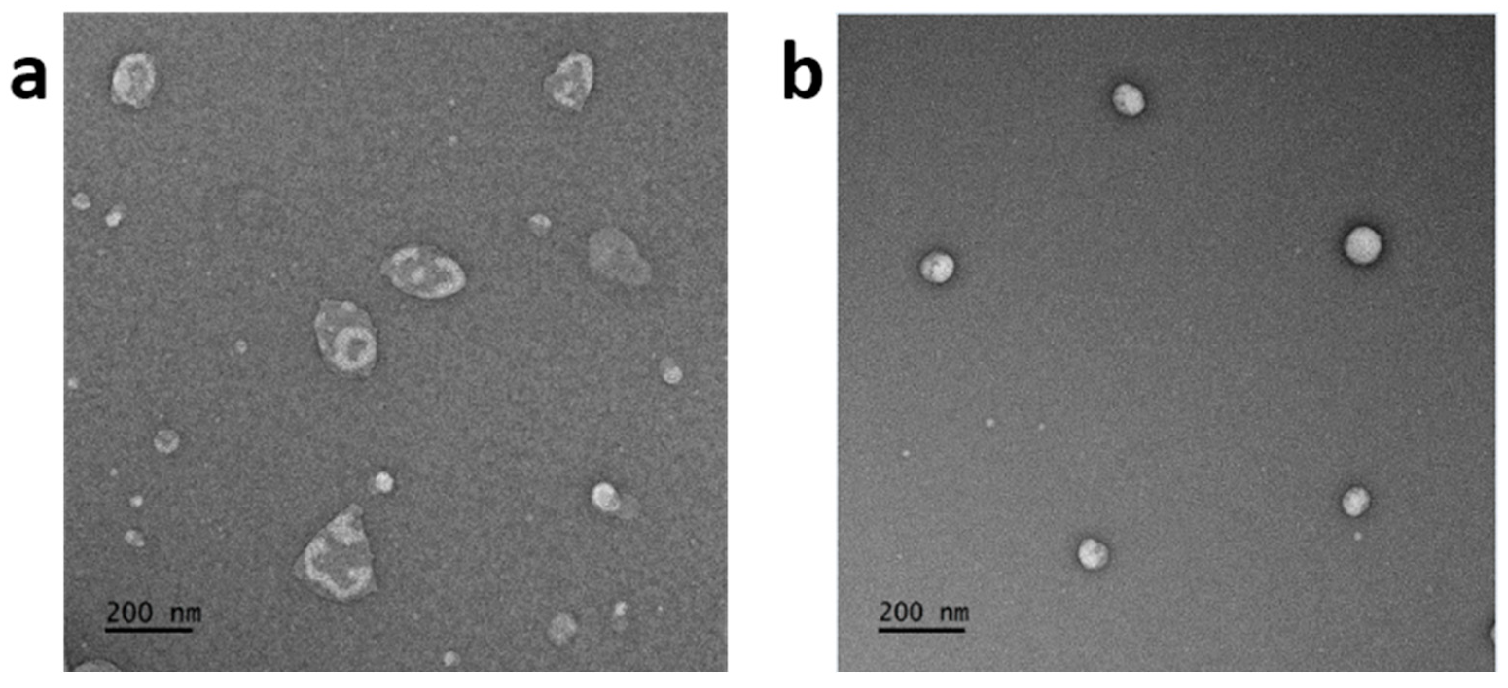 Molecules 30 00279 g003