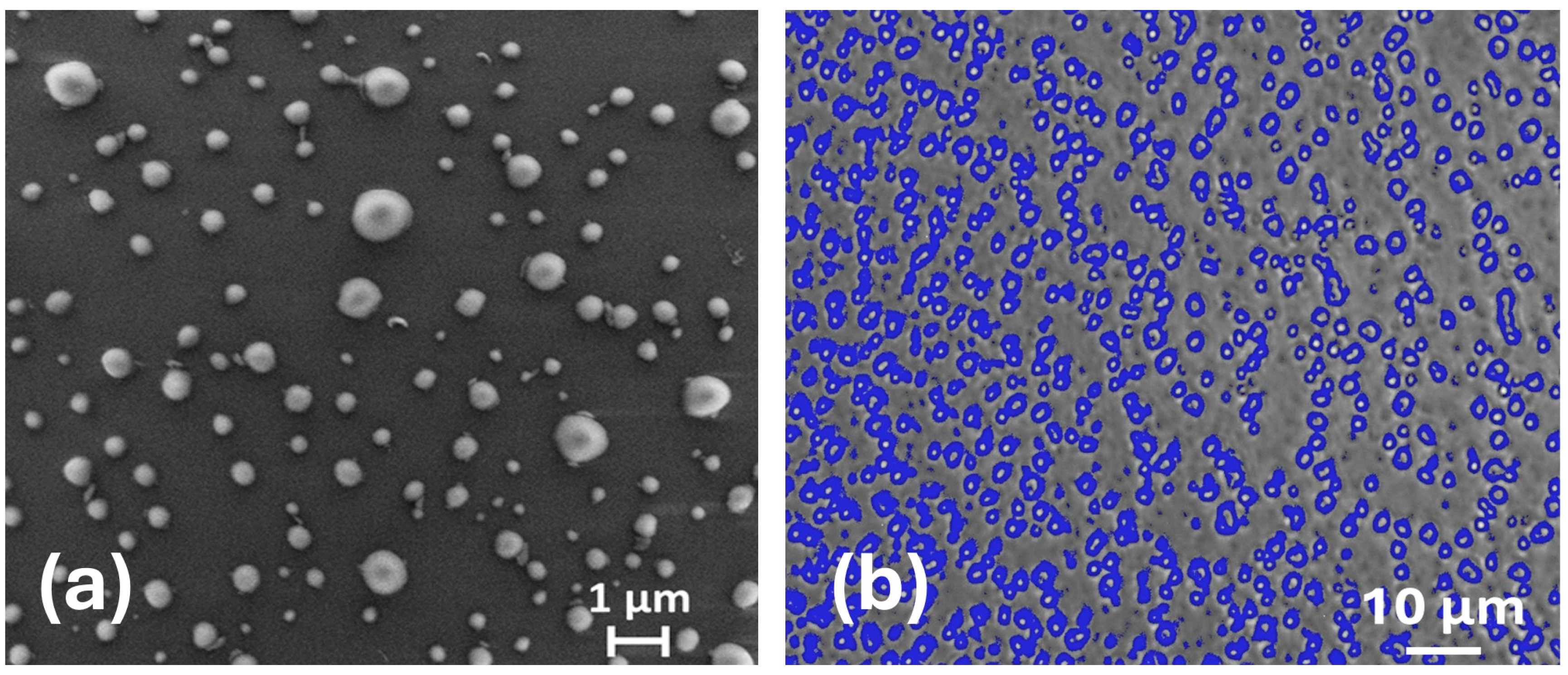 Molecules 30 00282 g011