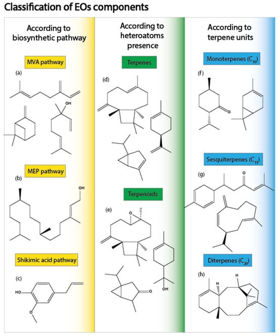 Molecules 30 00284 g002