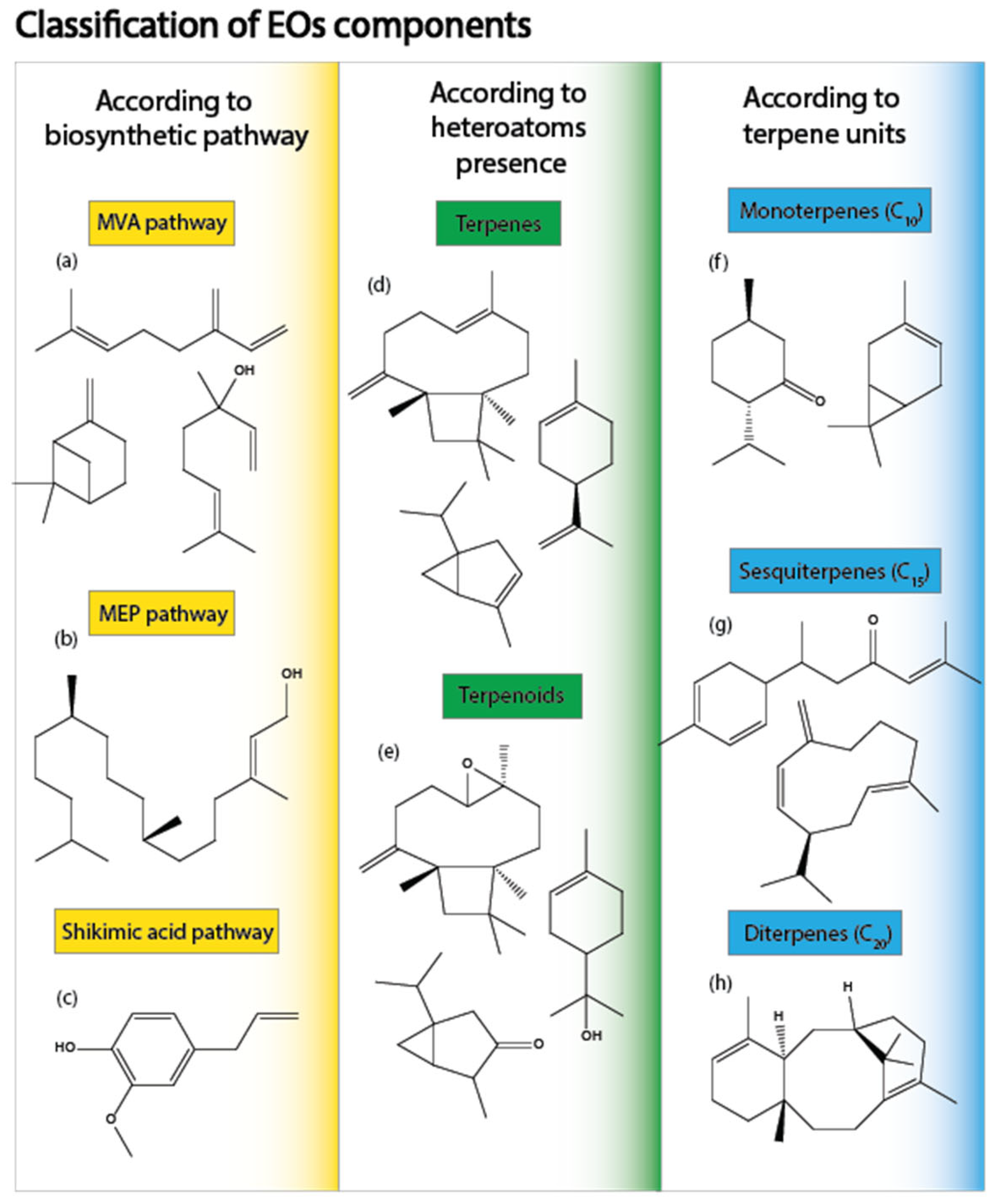 Molecules 30 00284 g002
