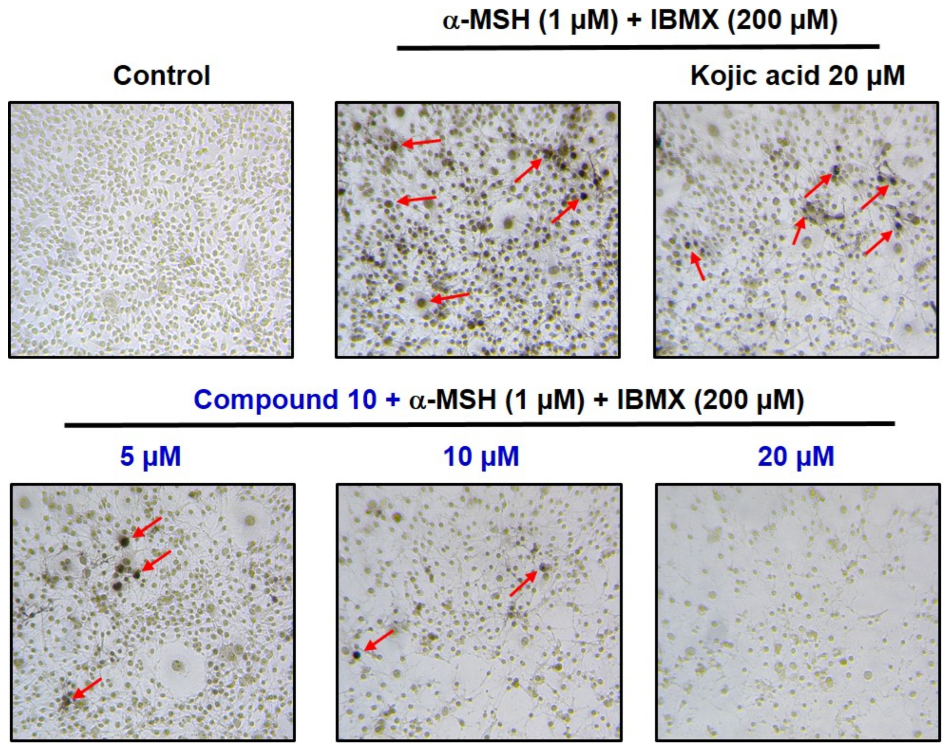 Molecules 30 00289 g007