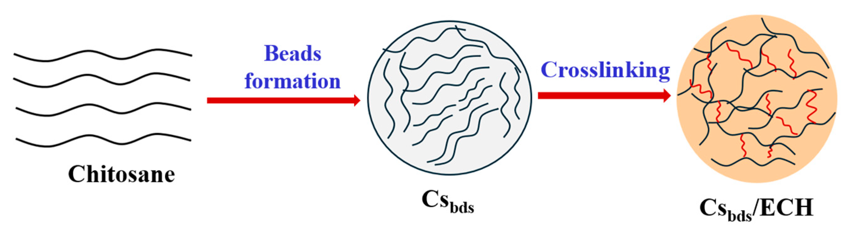 Molecules 30 00292 g017