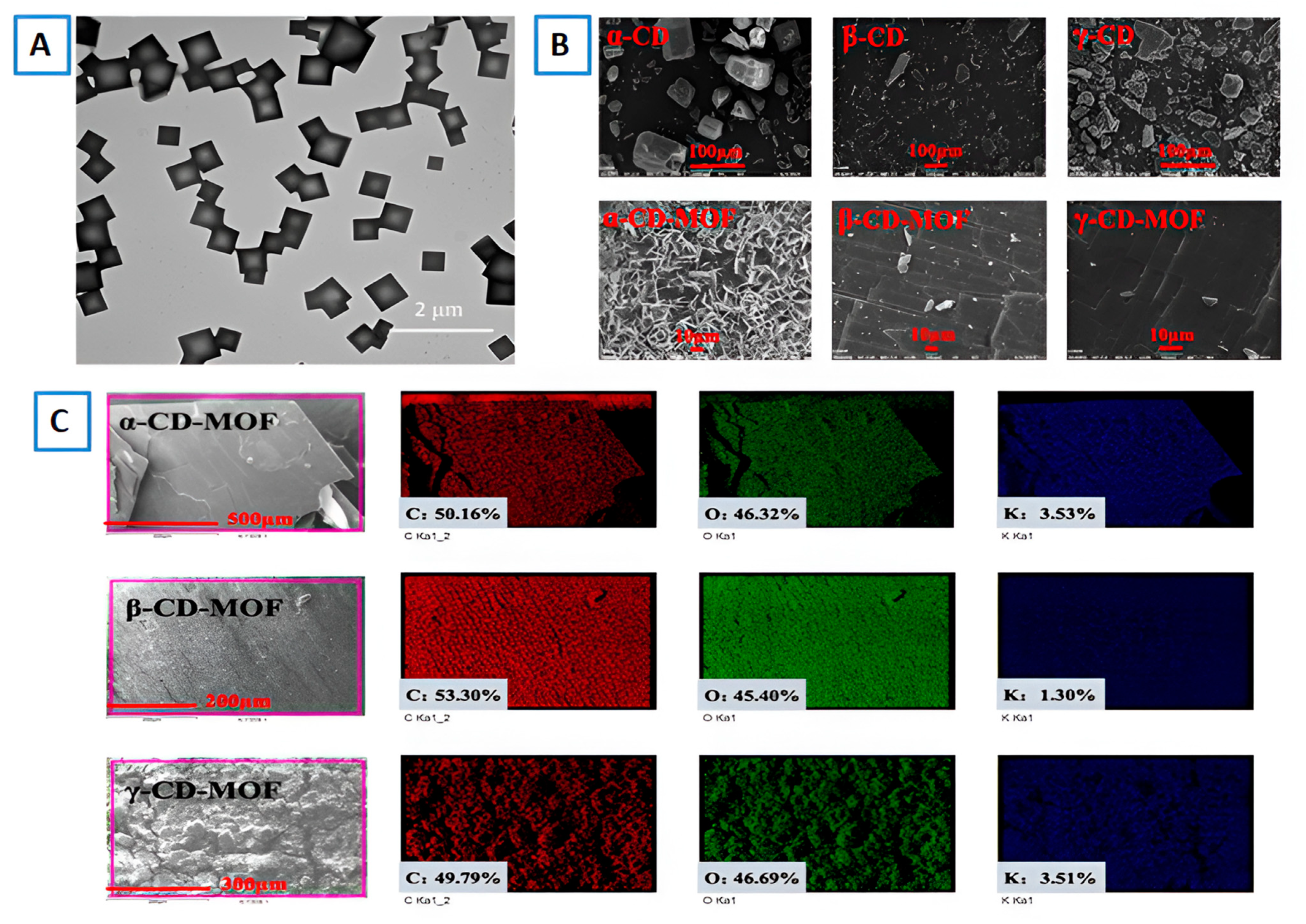 Molecules 30 00293 g016