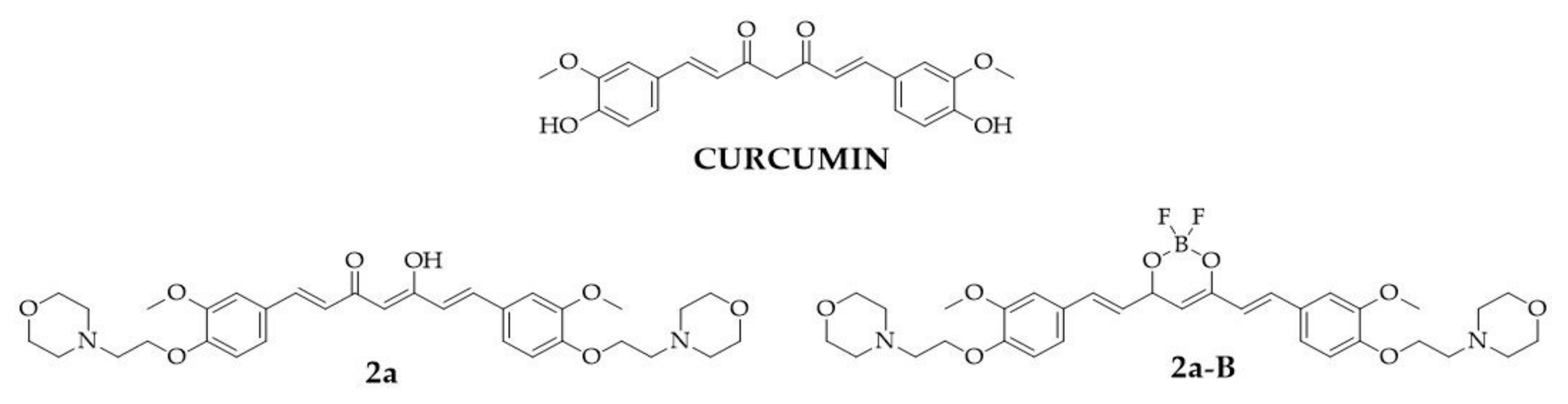 Molecules 30 00295 g001
