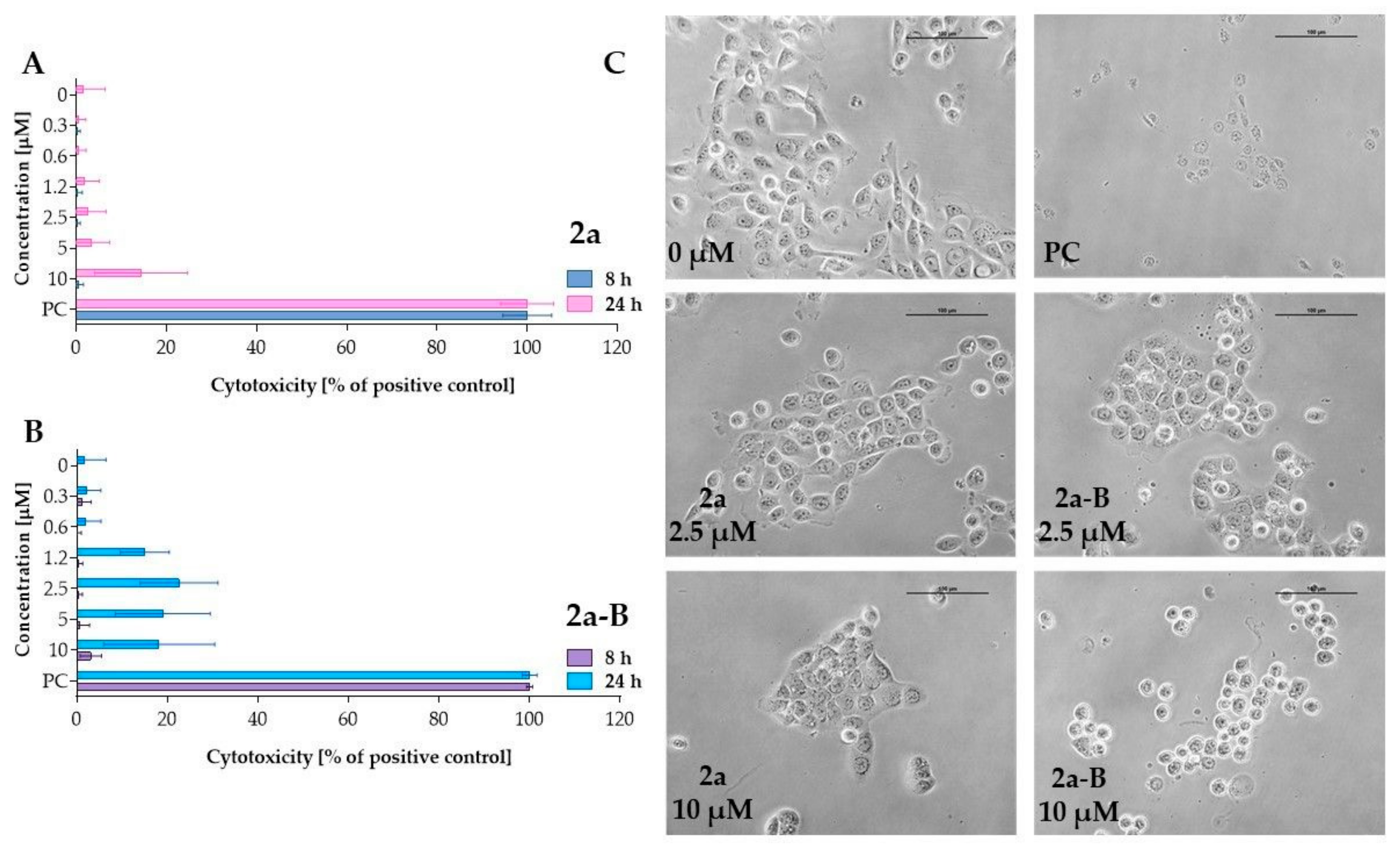 Molecules 30 00295 g003