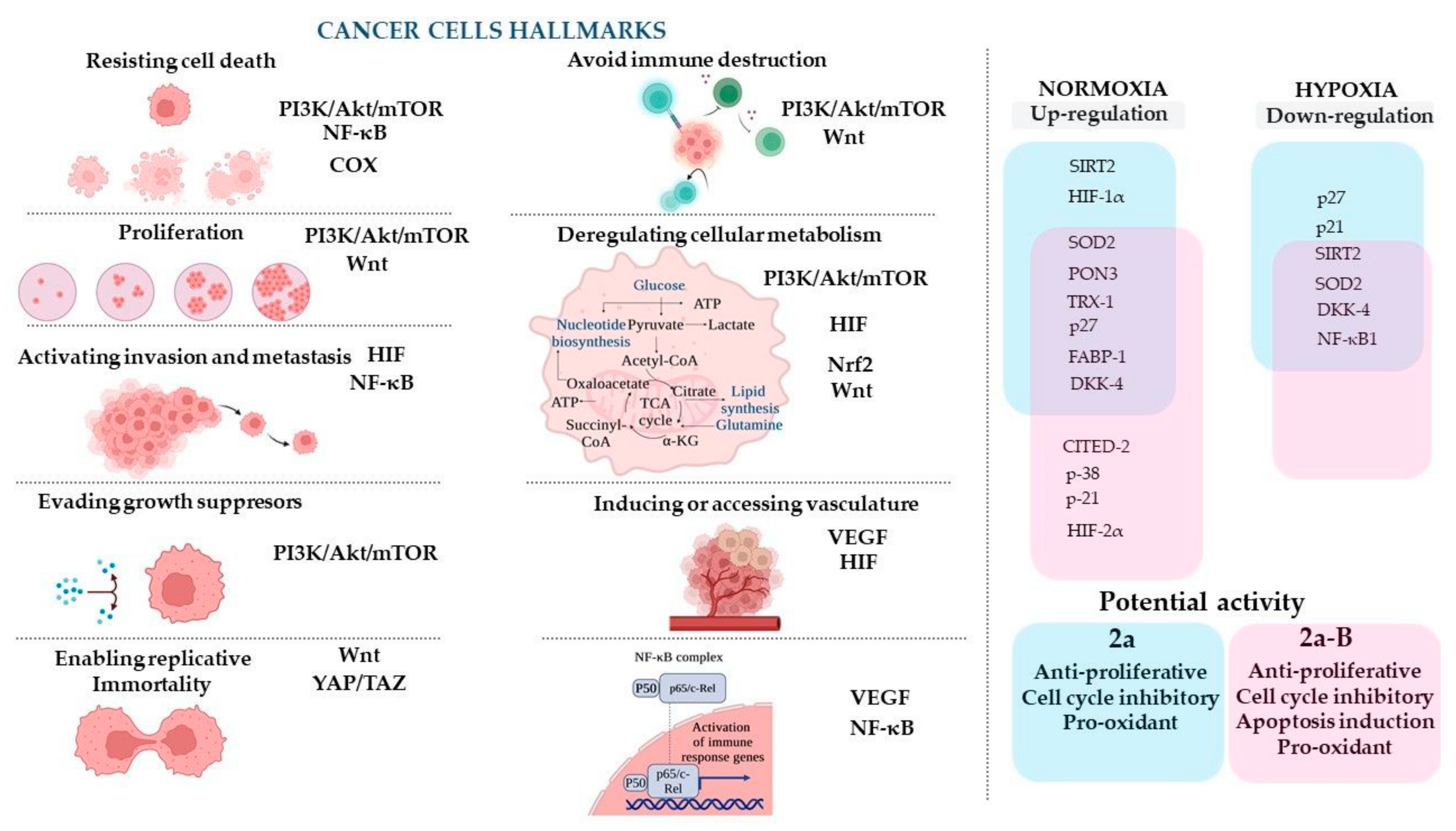 Molecules 30 00295 g013