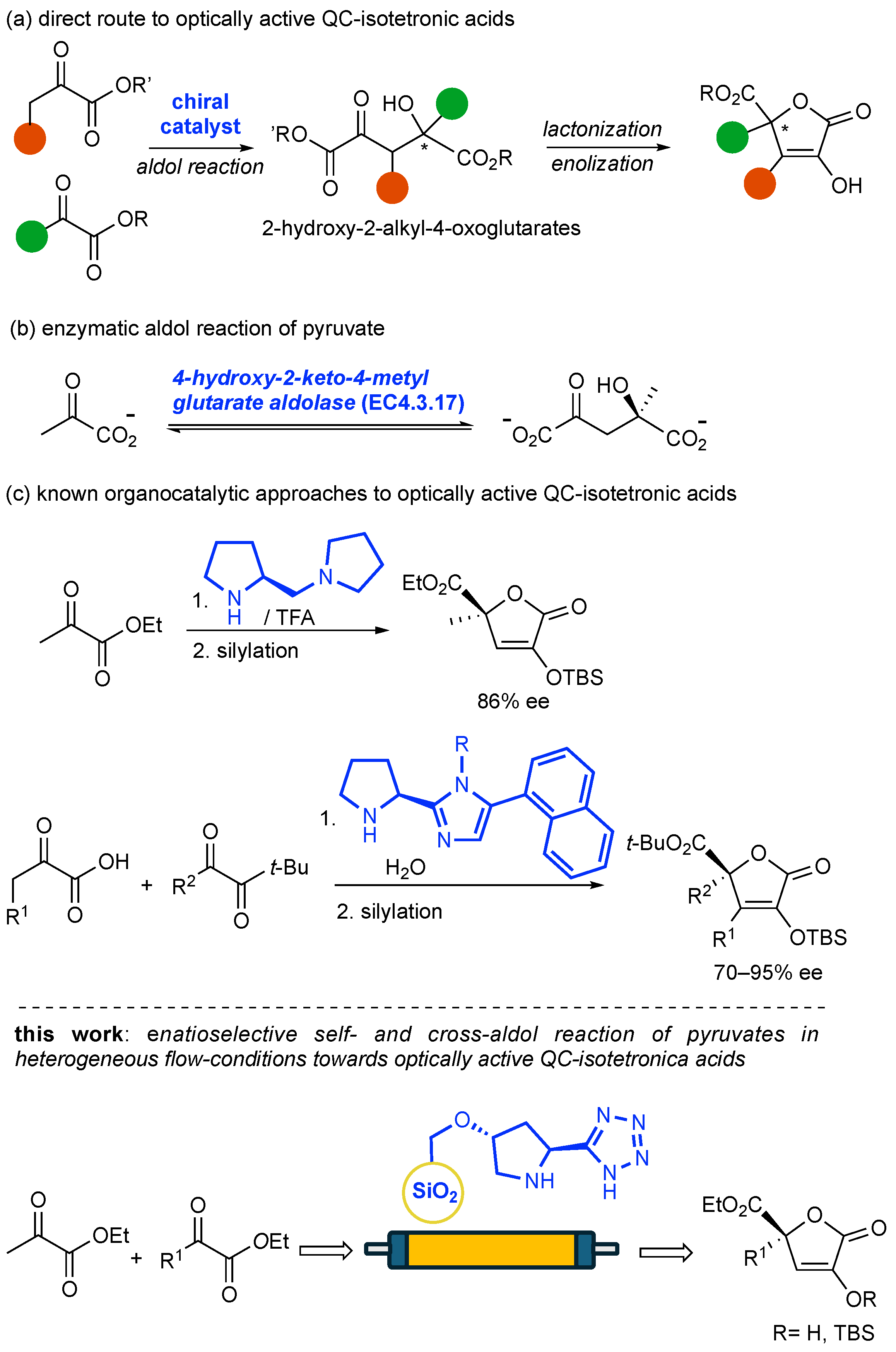 Molecules 30 00296 sch001