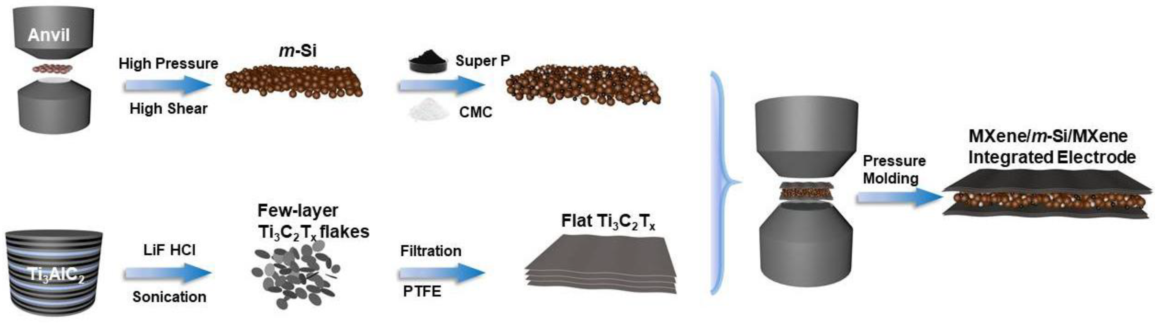 Molecules 30 00297 g001
