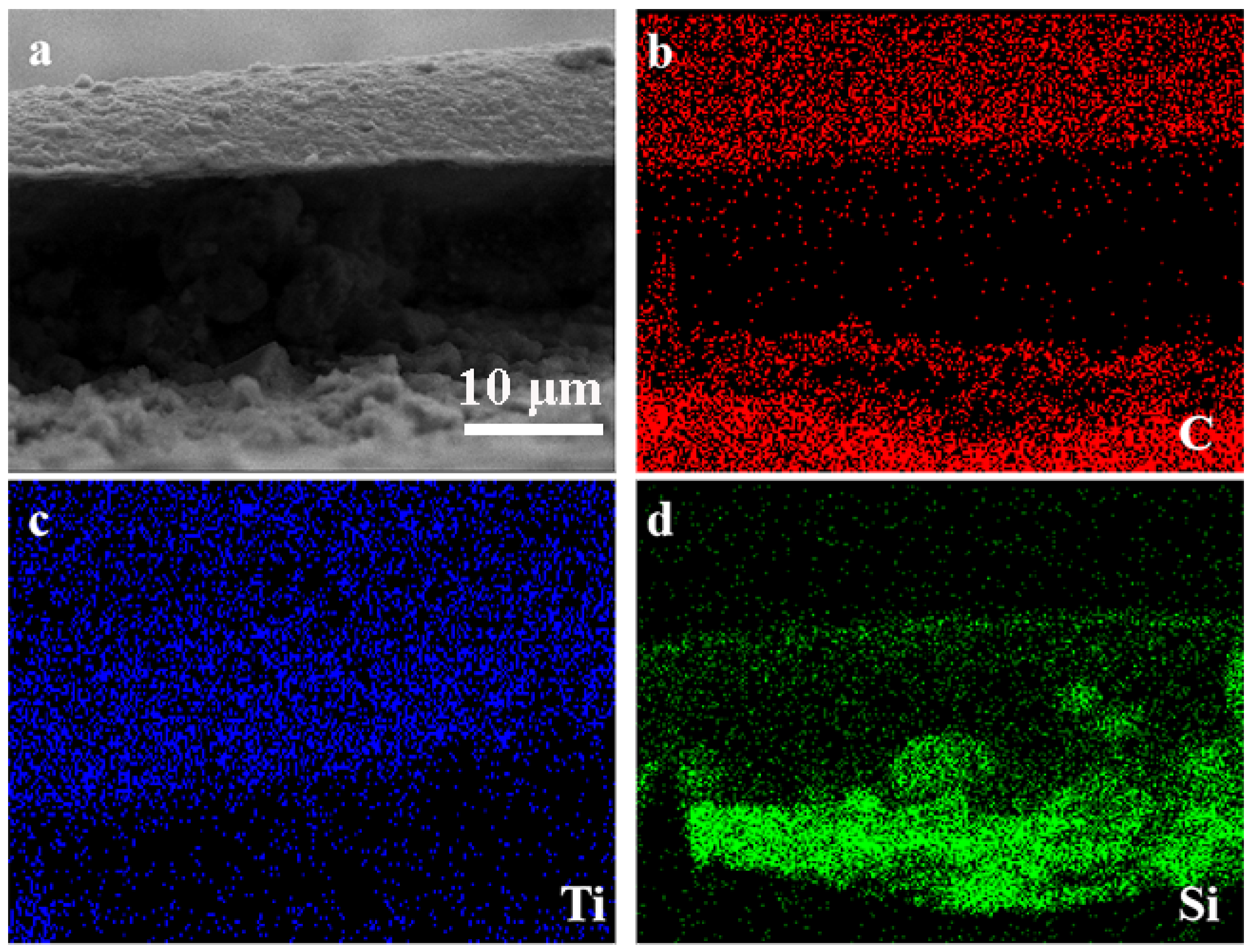 Molecules 30 00297 g004