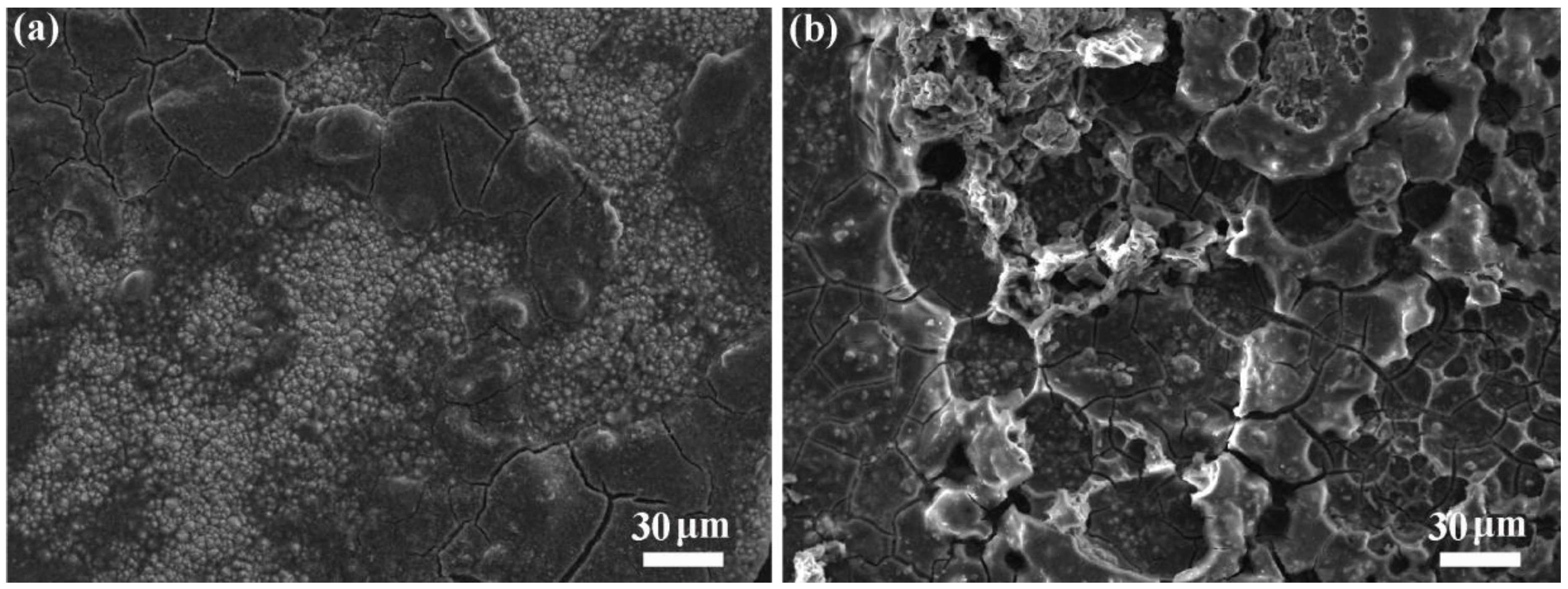 Molecules 30 00297 g008