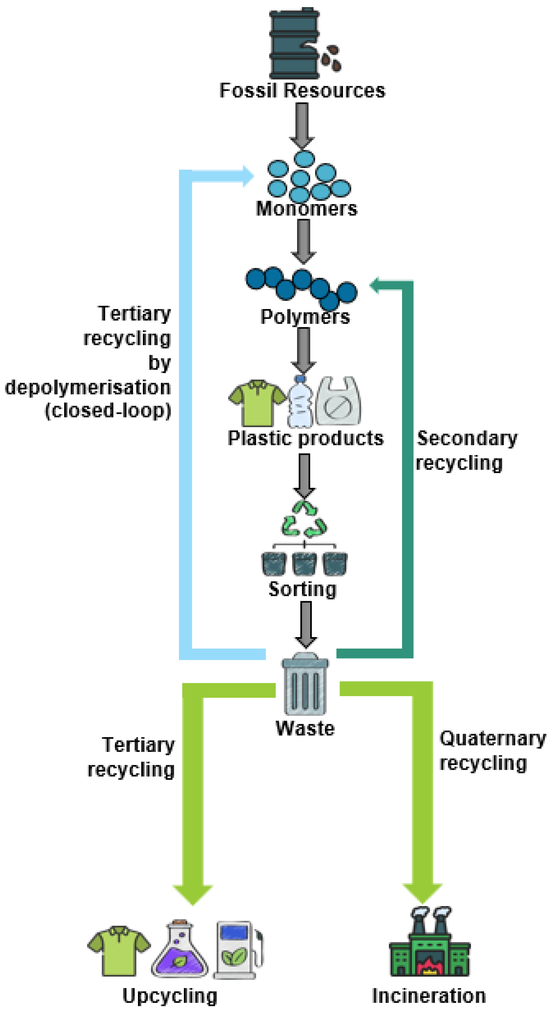 Molecules 30 00299 g001