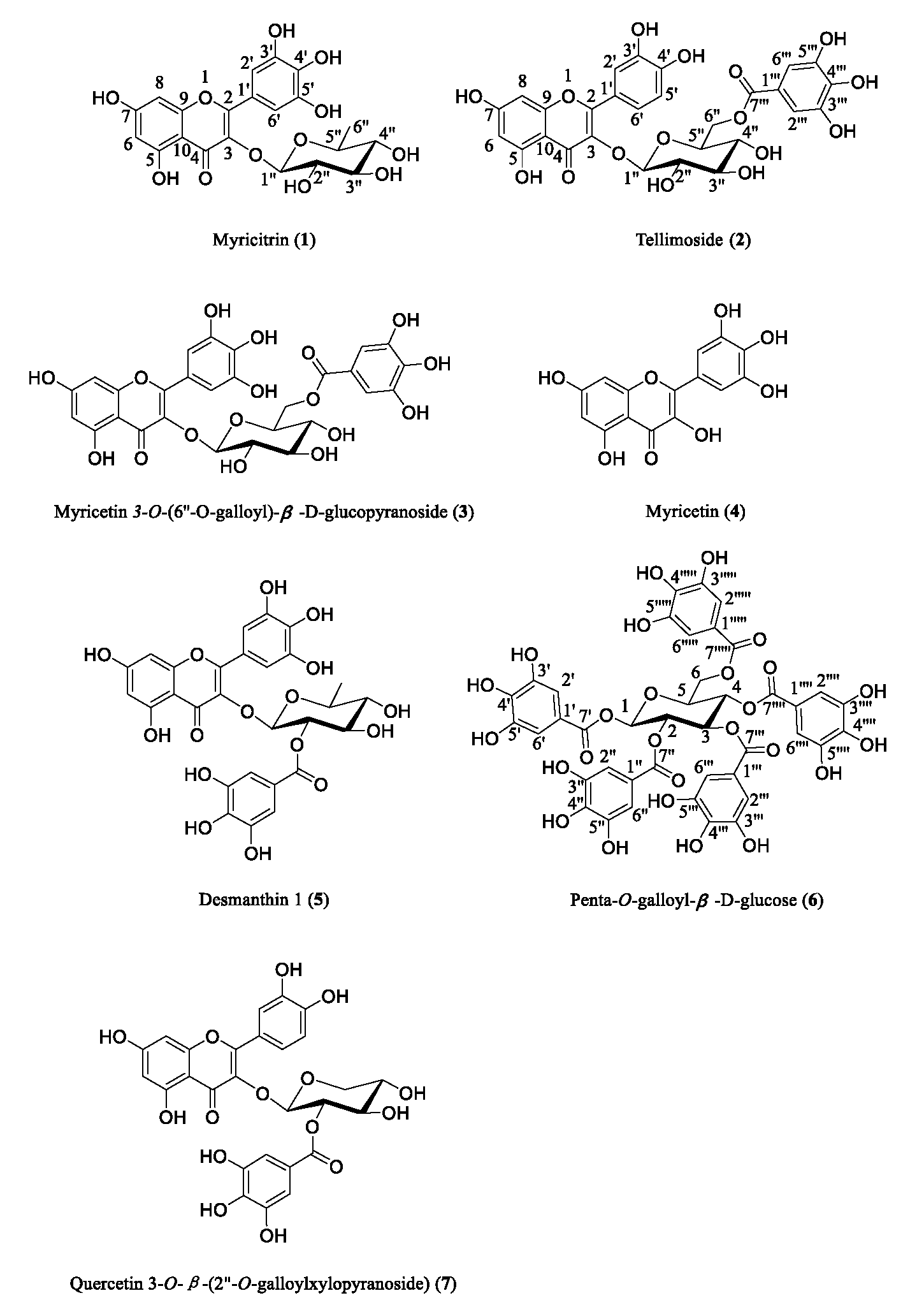 Molecules 30 00311 g002