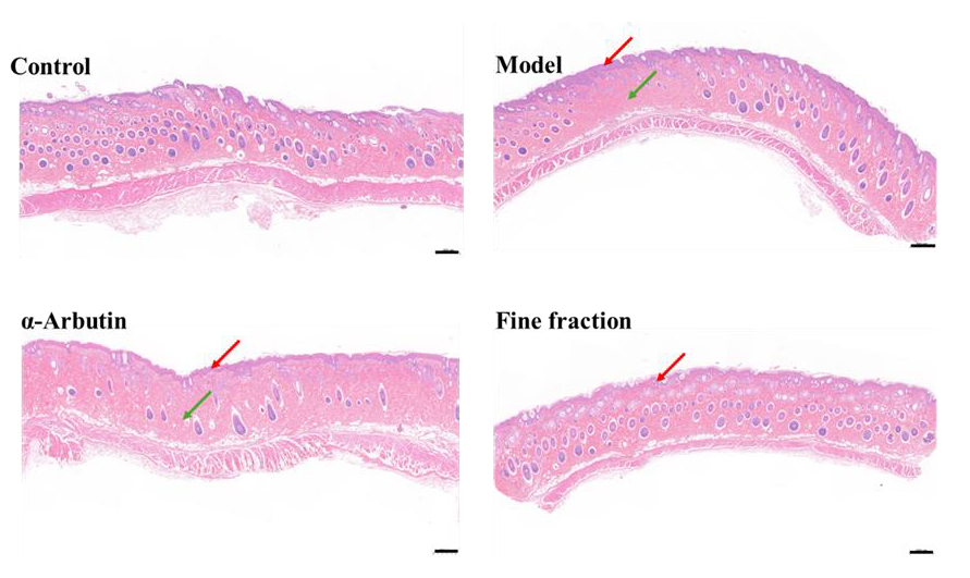 Molecules 30 00311 g006