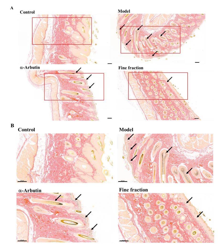 Molecules 30 00311 g007
