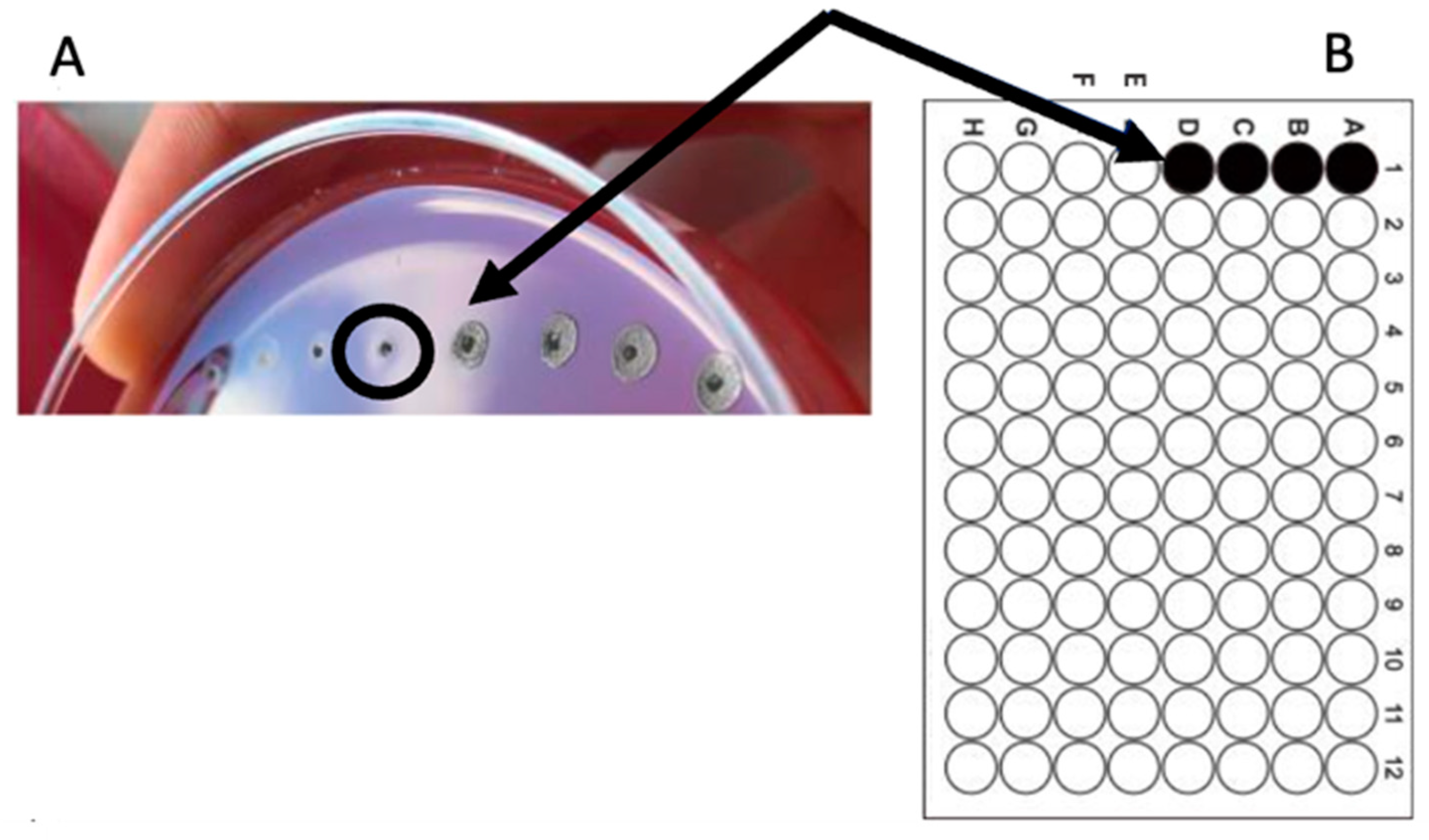 Molecules 30 00324 g001