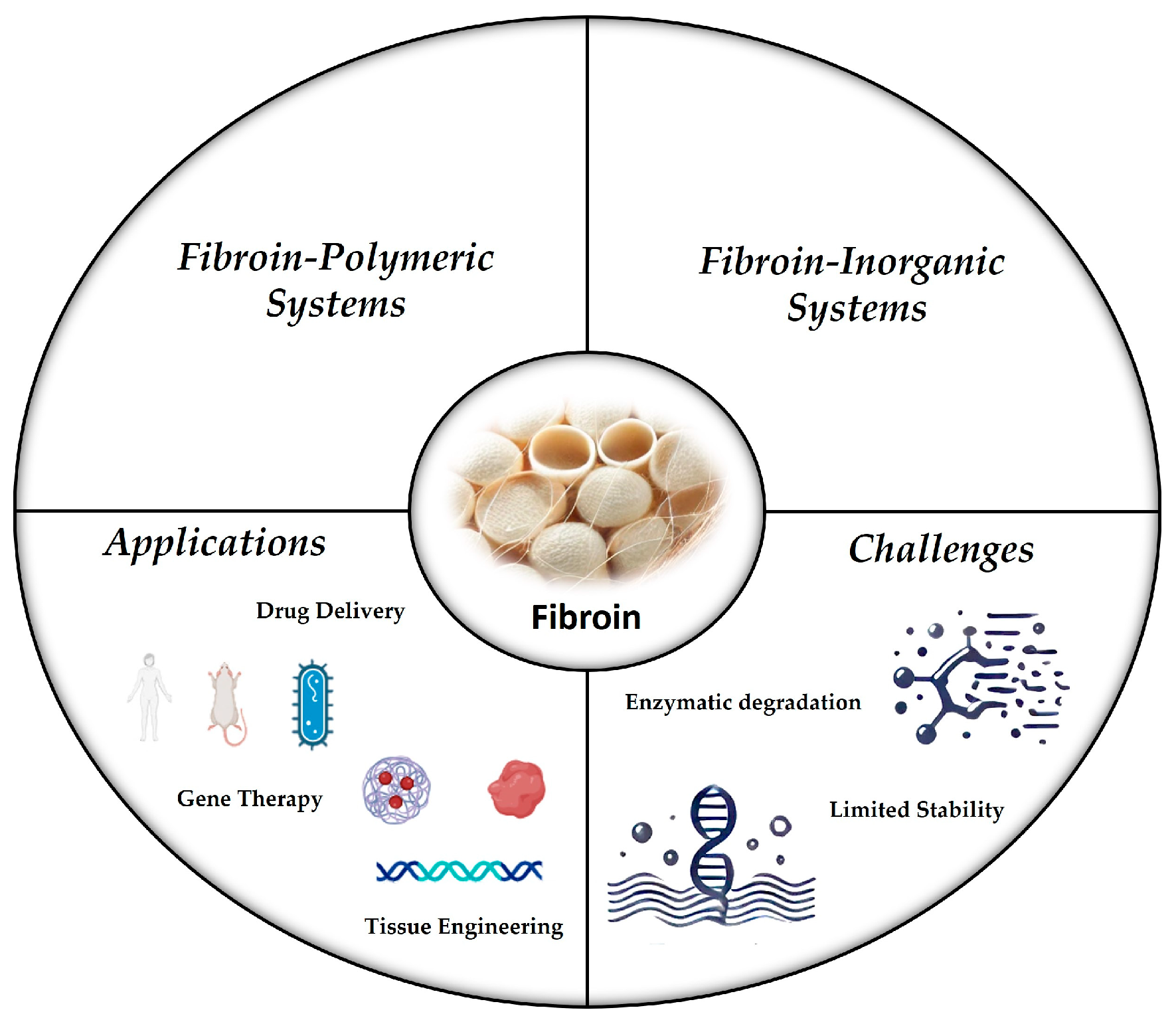 Molecules 30 00328 g002