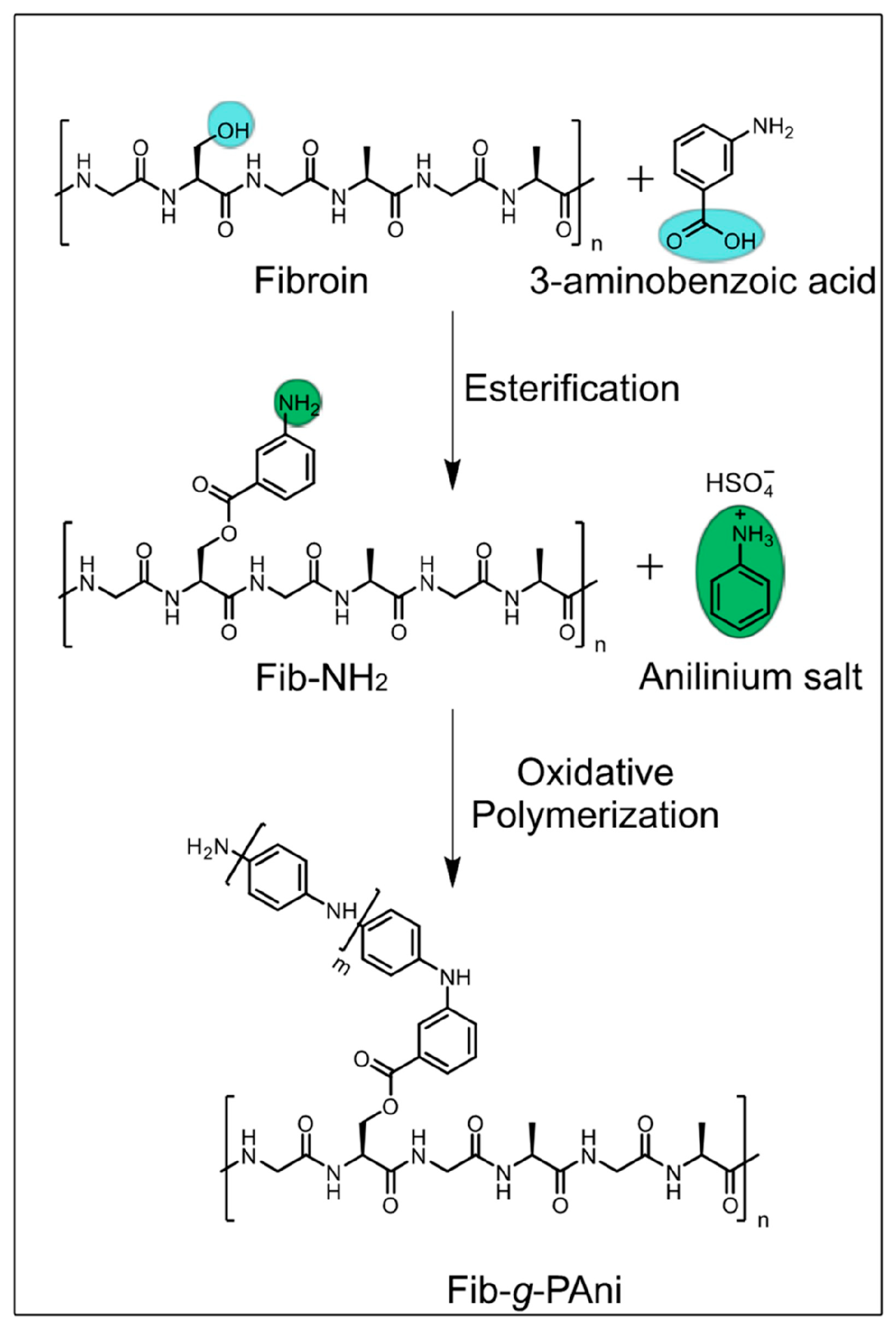 Molecules 30 00328 g004