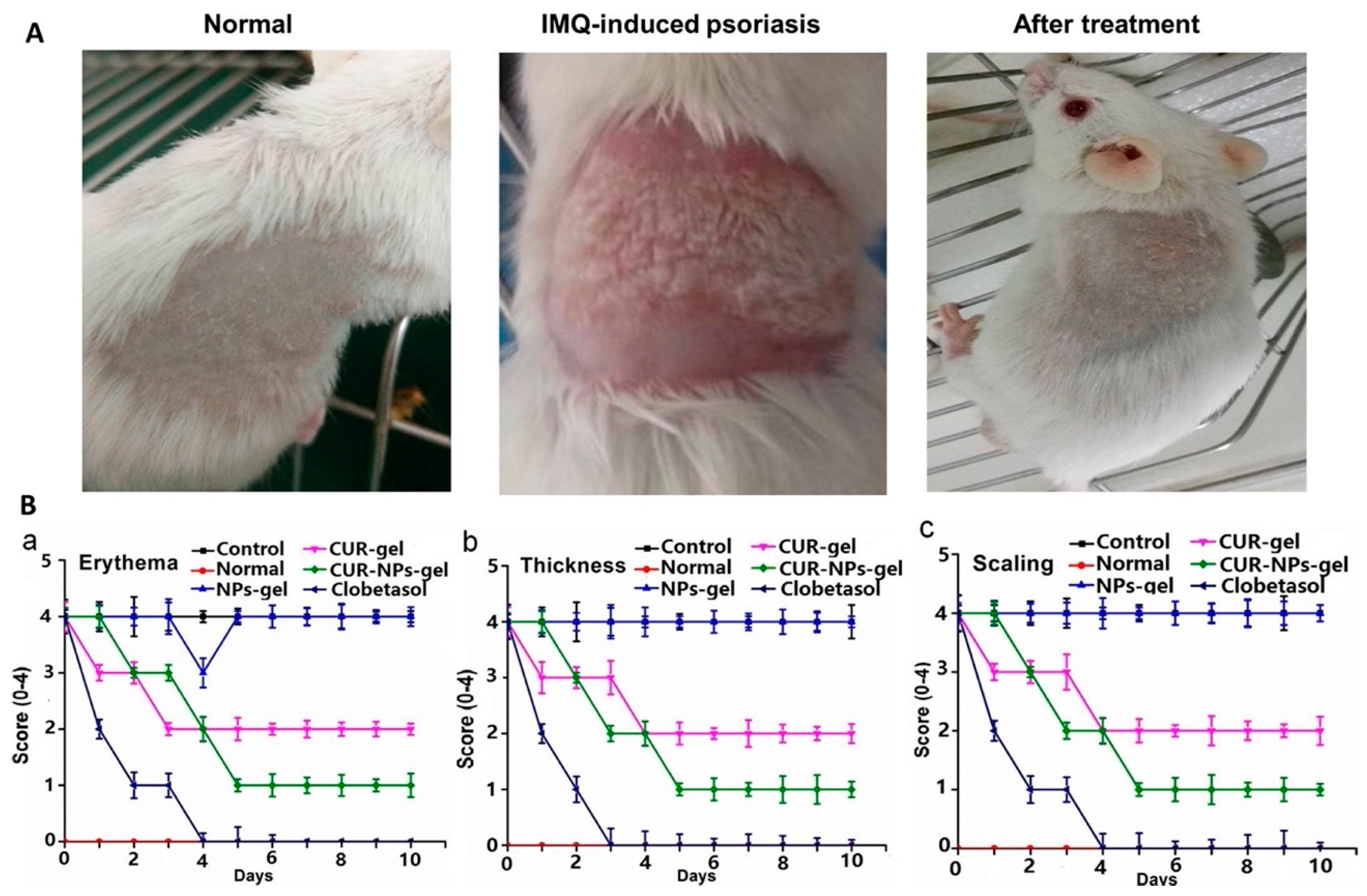 Molecules 30 00328 g006