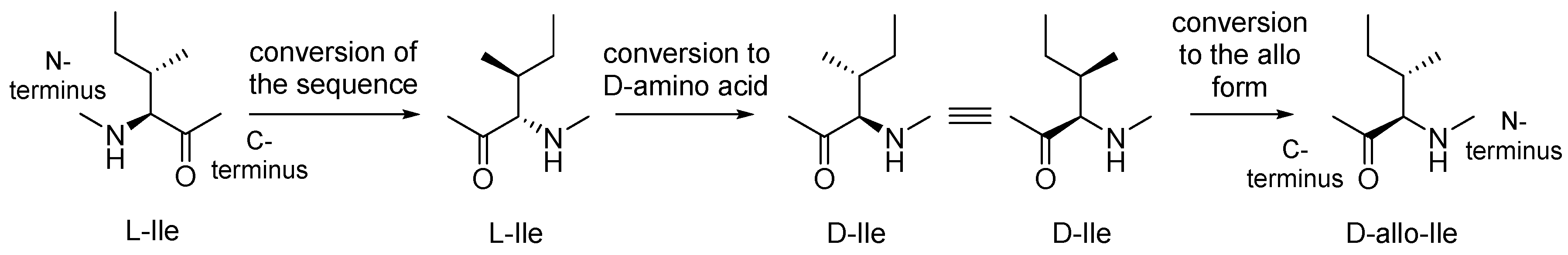 Molecules 30 00334 g004