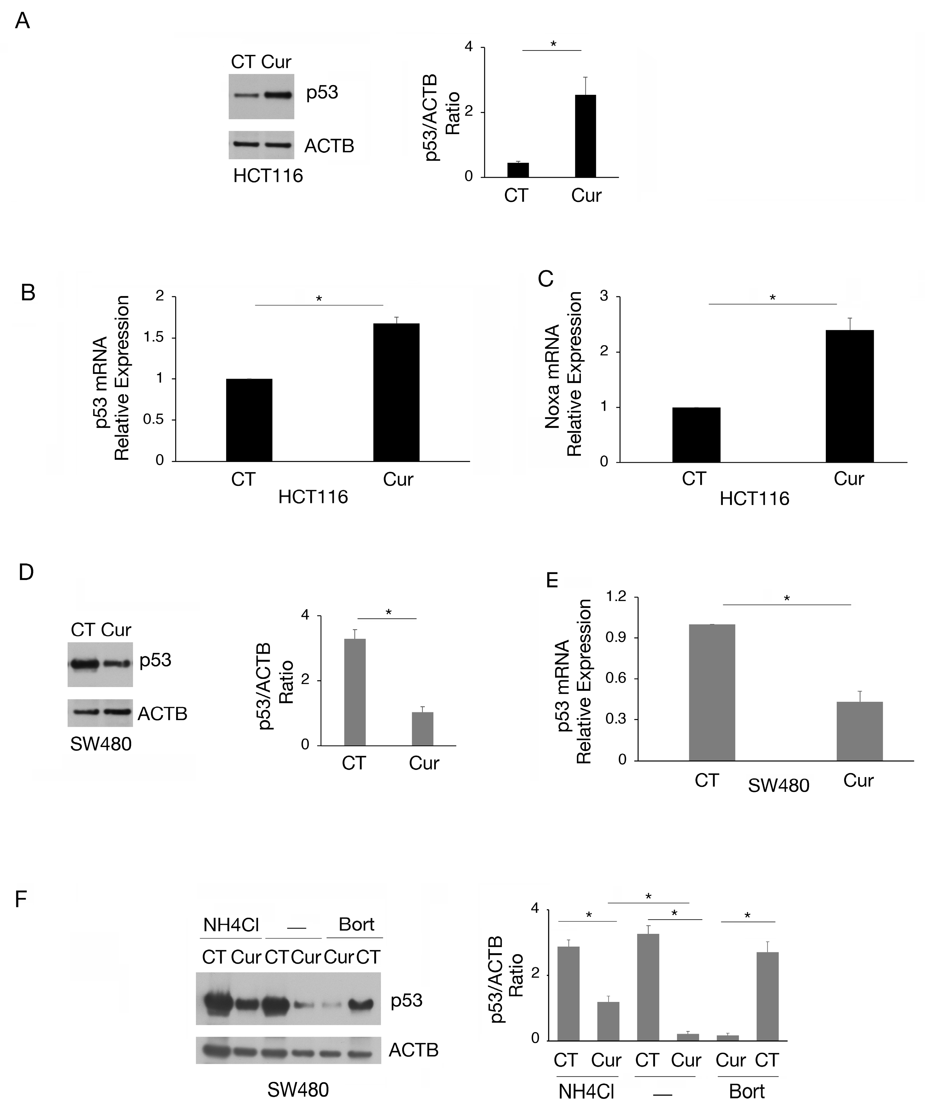 Molecules 30 00335 g002