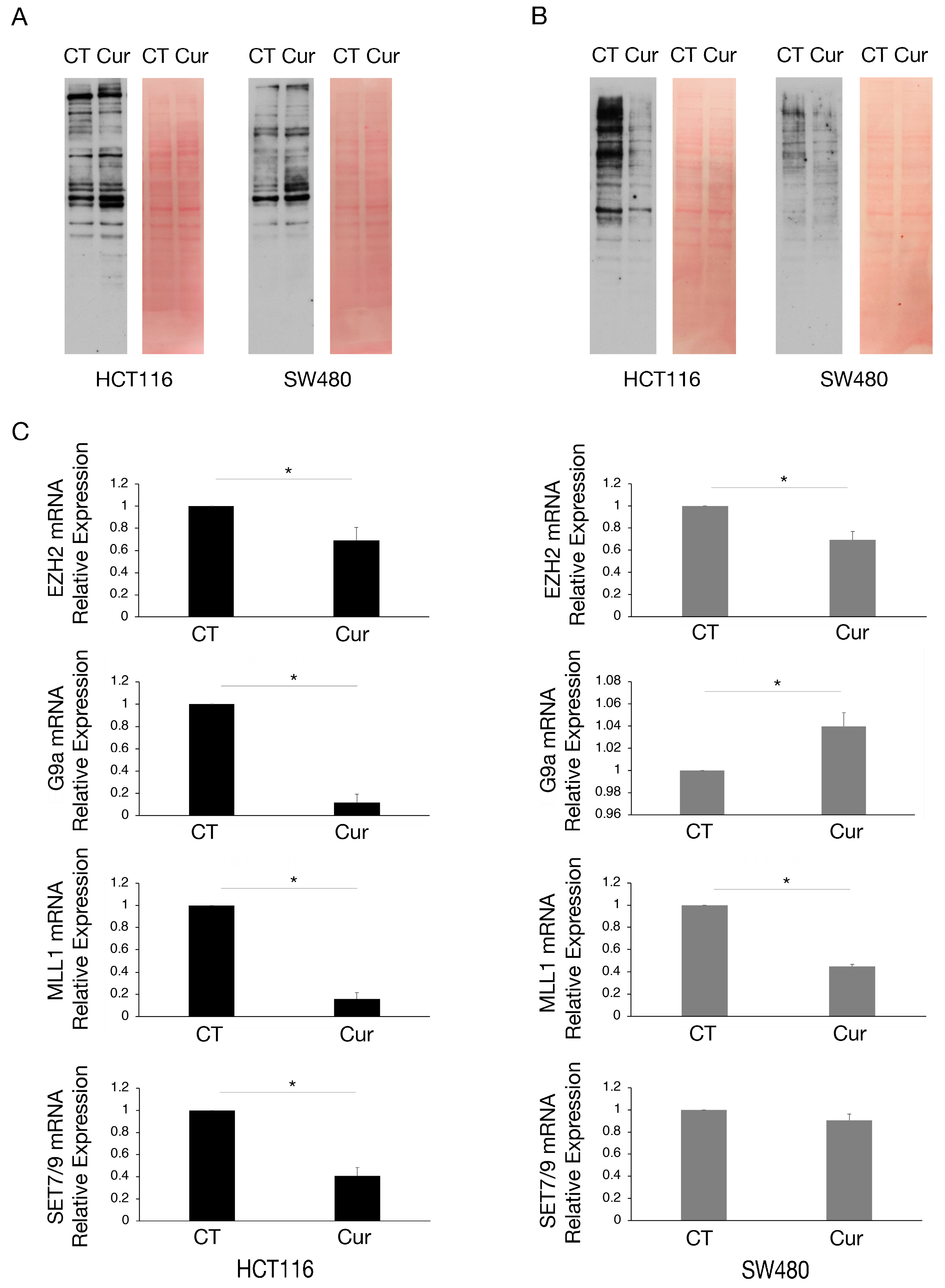 Molecules 30 00335 g003