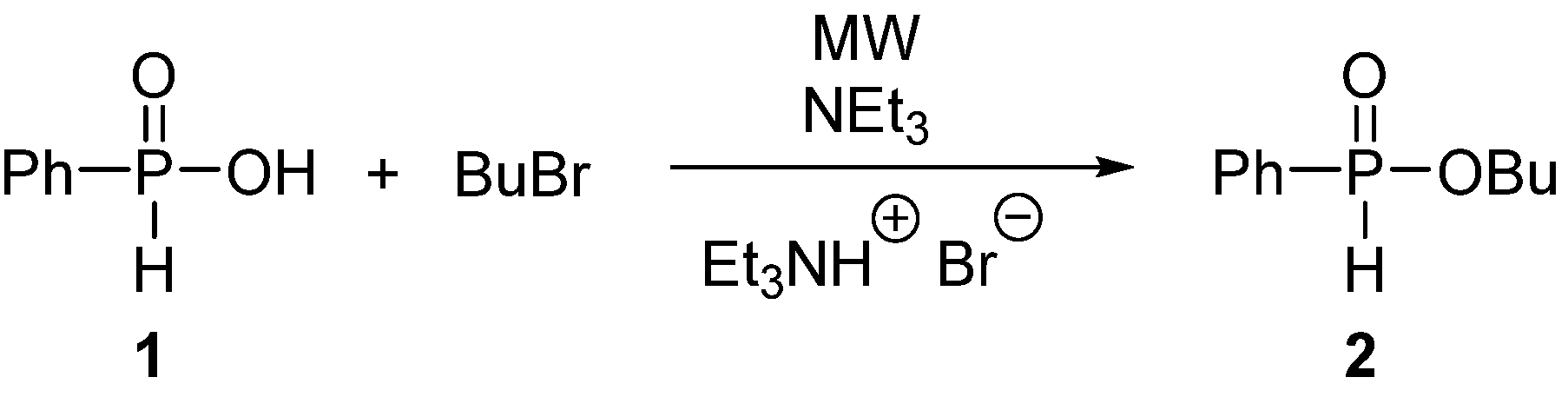 Molecules 30 00339 sch001