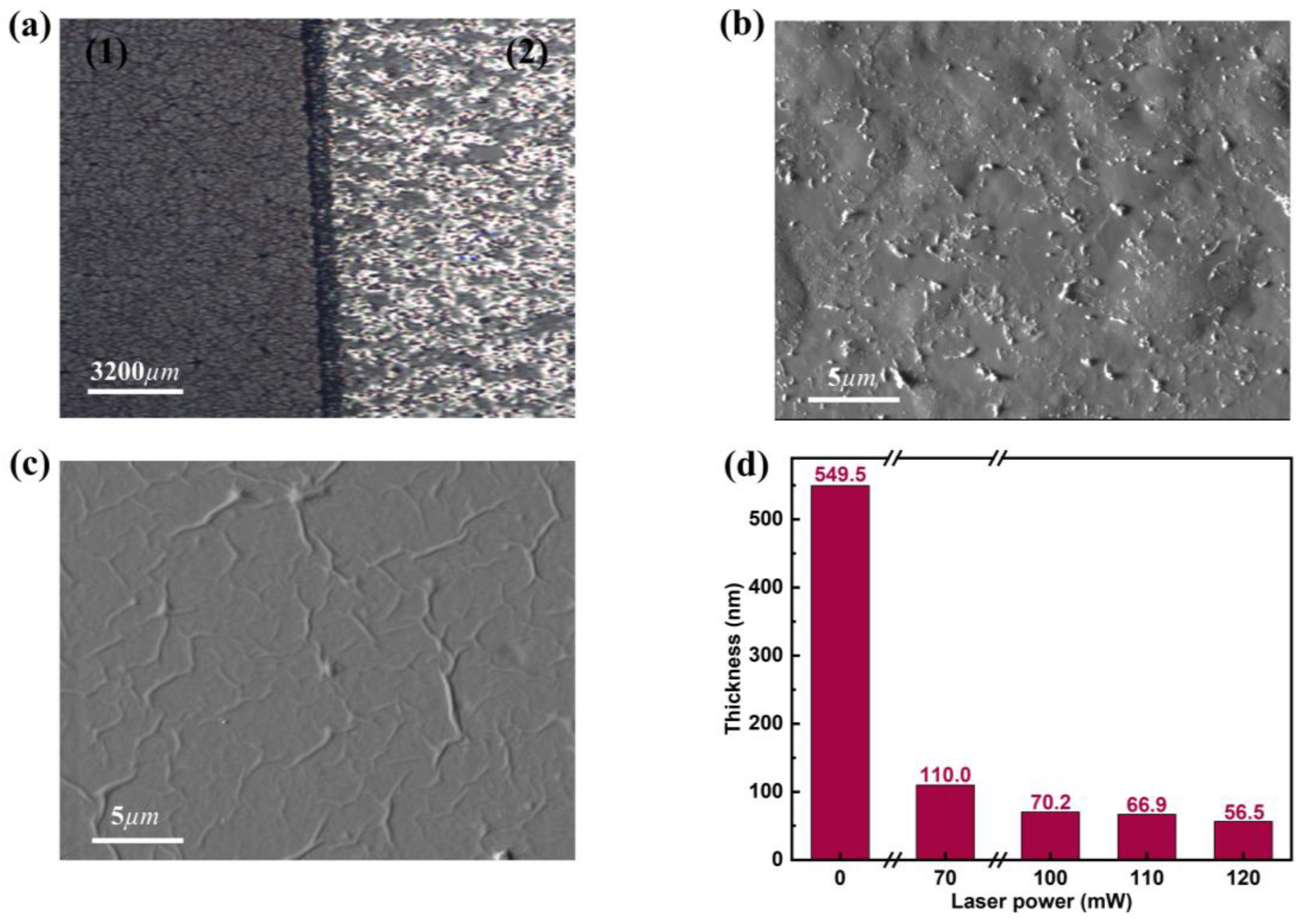 Molecules 30 00348 g002