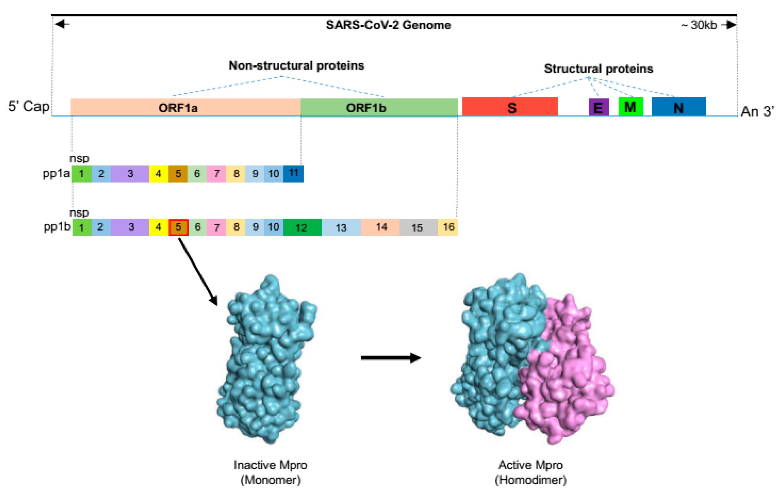 Molecules 30 00351 g001